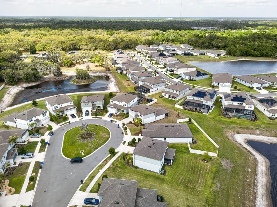 12908 BROOKSIDE MOSS DR, RIVERVIEW, FL, 33579