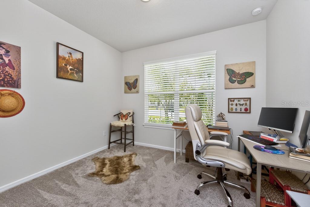 12908 BROOKSIDE MOSS DR, RIVERVIEW, FL, 33579