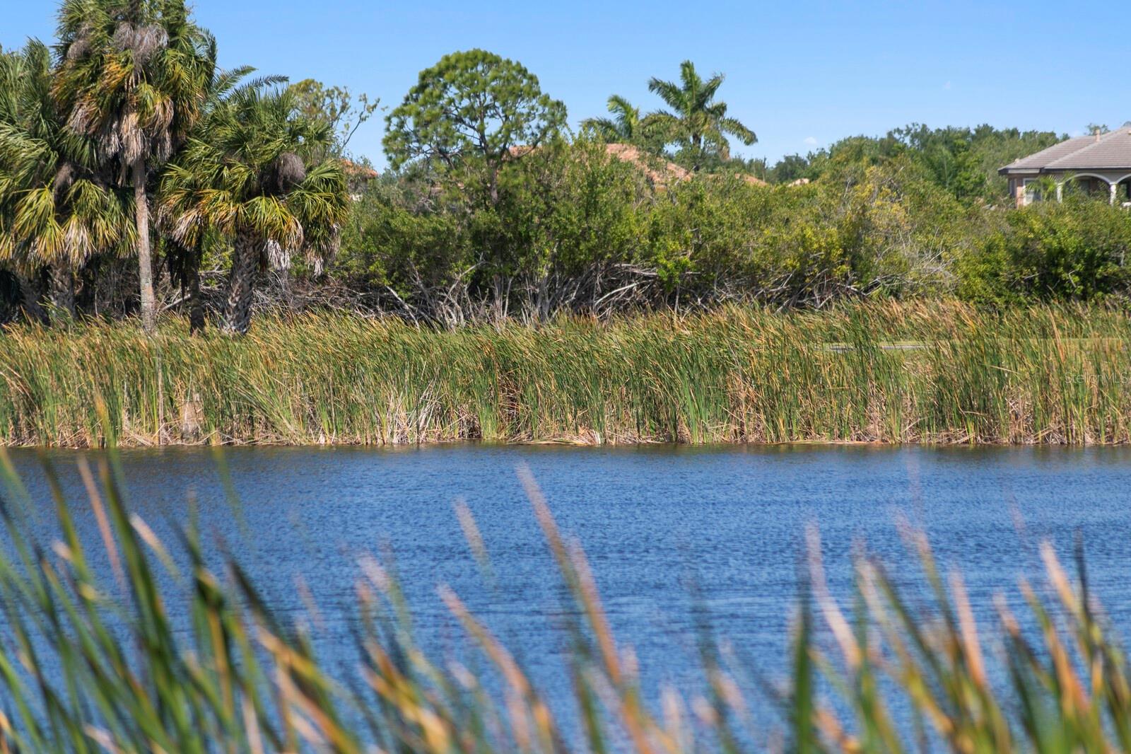 7361 WATERSILK DR, PINELLAS PARK, FL, 33782