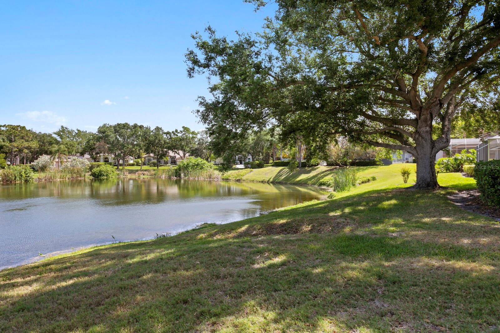 7361 WATERSILK DR, PINELLAS PARK, FL, 33782