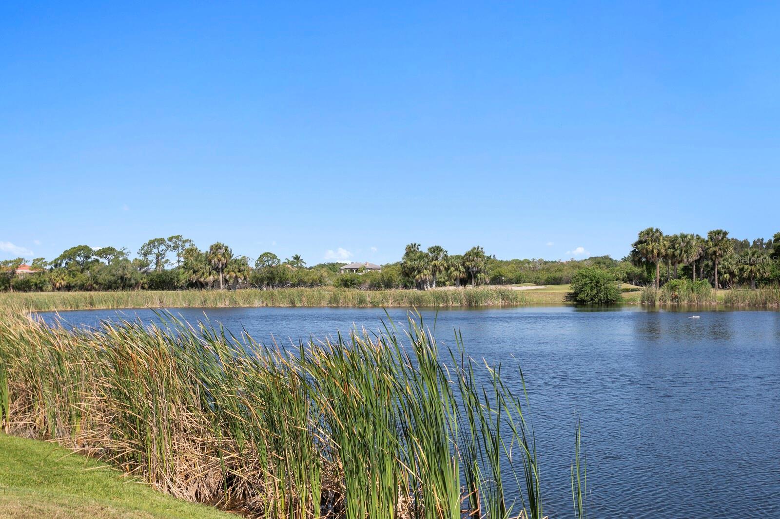 7361 WATERSILK DR, PINELLAS PARK, FL, 33782