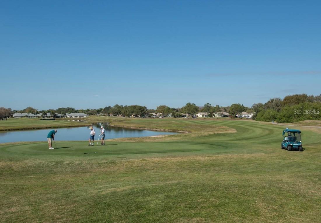 2014 HAMPSTEAD CIR, SUN CITY CENTER, FL, 33573