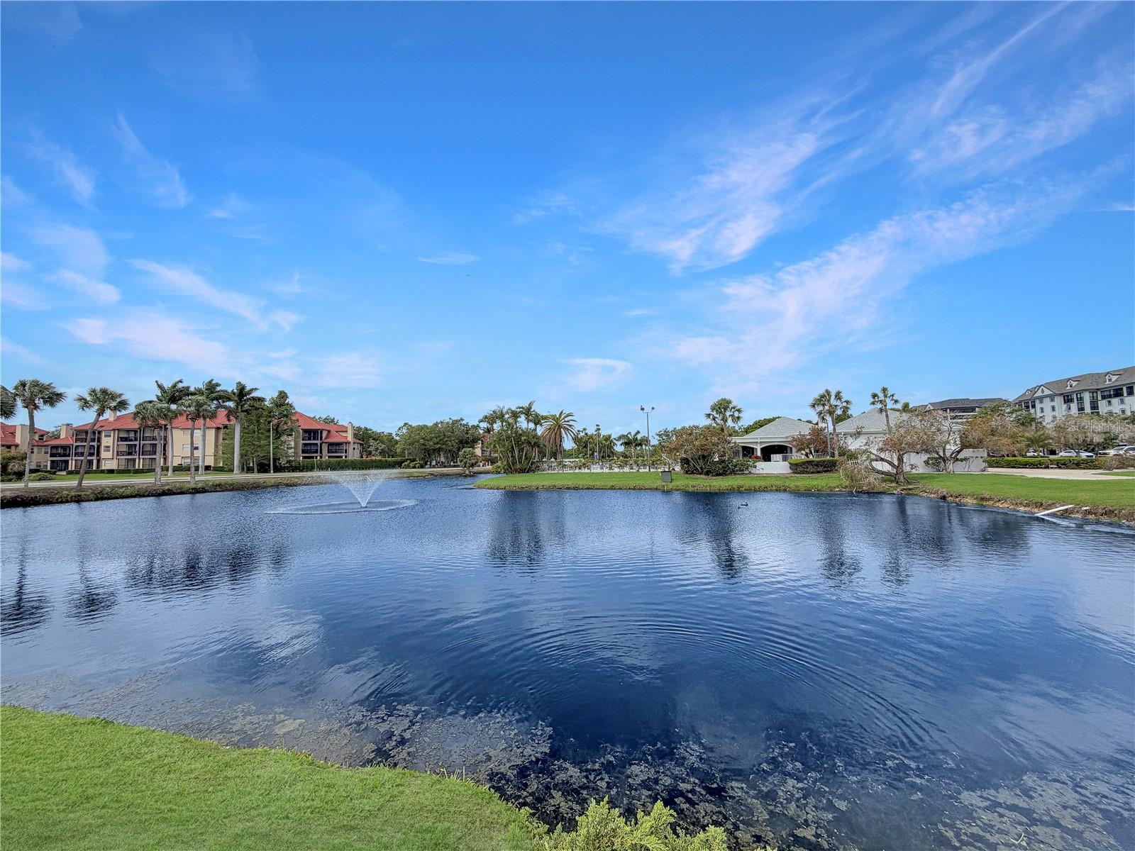 2333 FEATHER SOUND DR #C507, CLEARWATER, FL, 33762