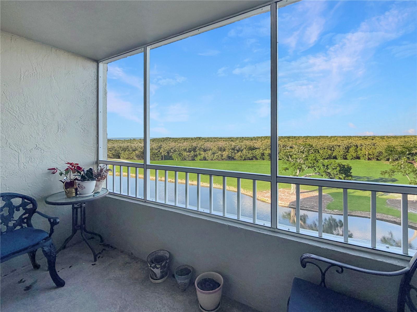 2333 FEATHER SOUND DR #C507, CLEARWATER, FL, 33762