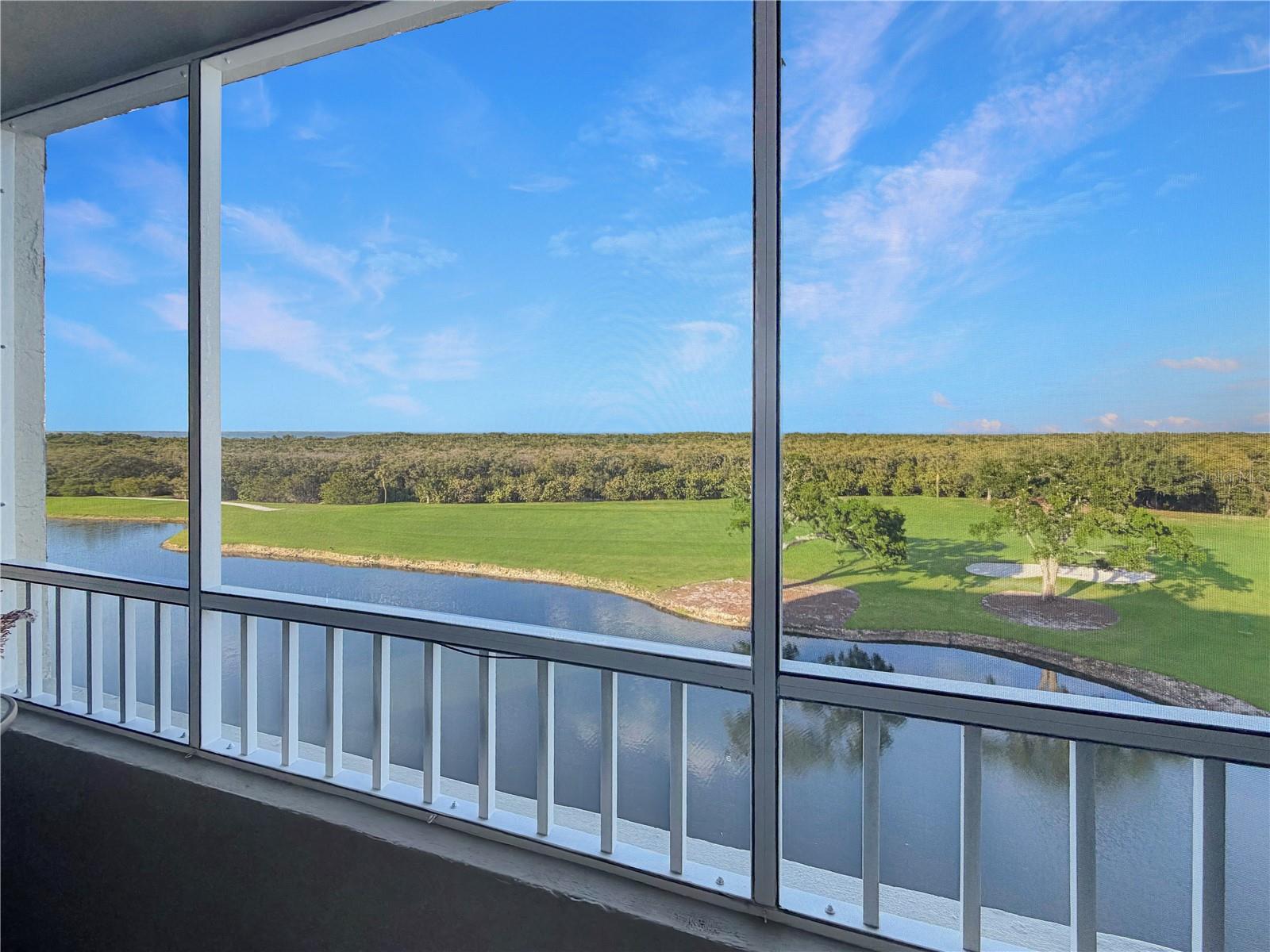 2333 FEATHER SOUND DR #C507, CLEARWATER, FL, 33762