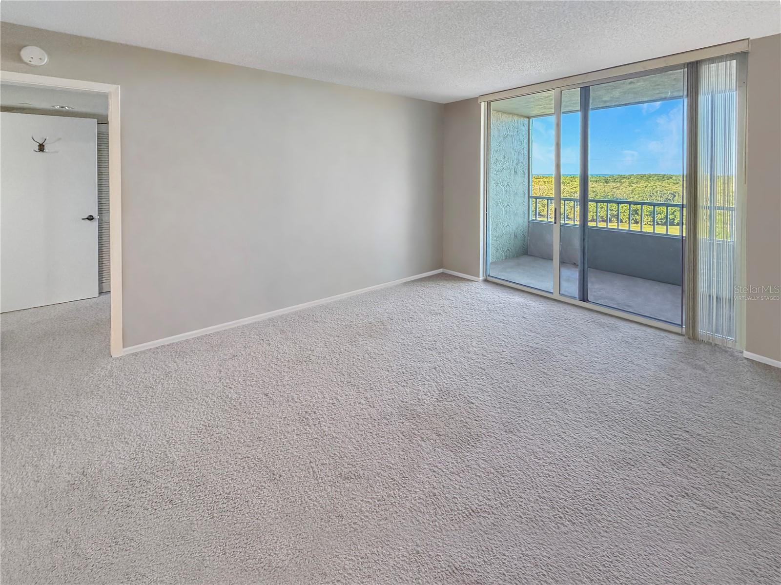 2333 FEATHER SOUND DR #C507, CLEARWATER, FL, 33762