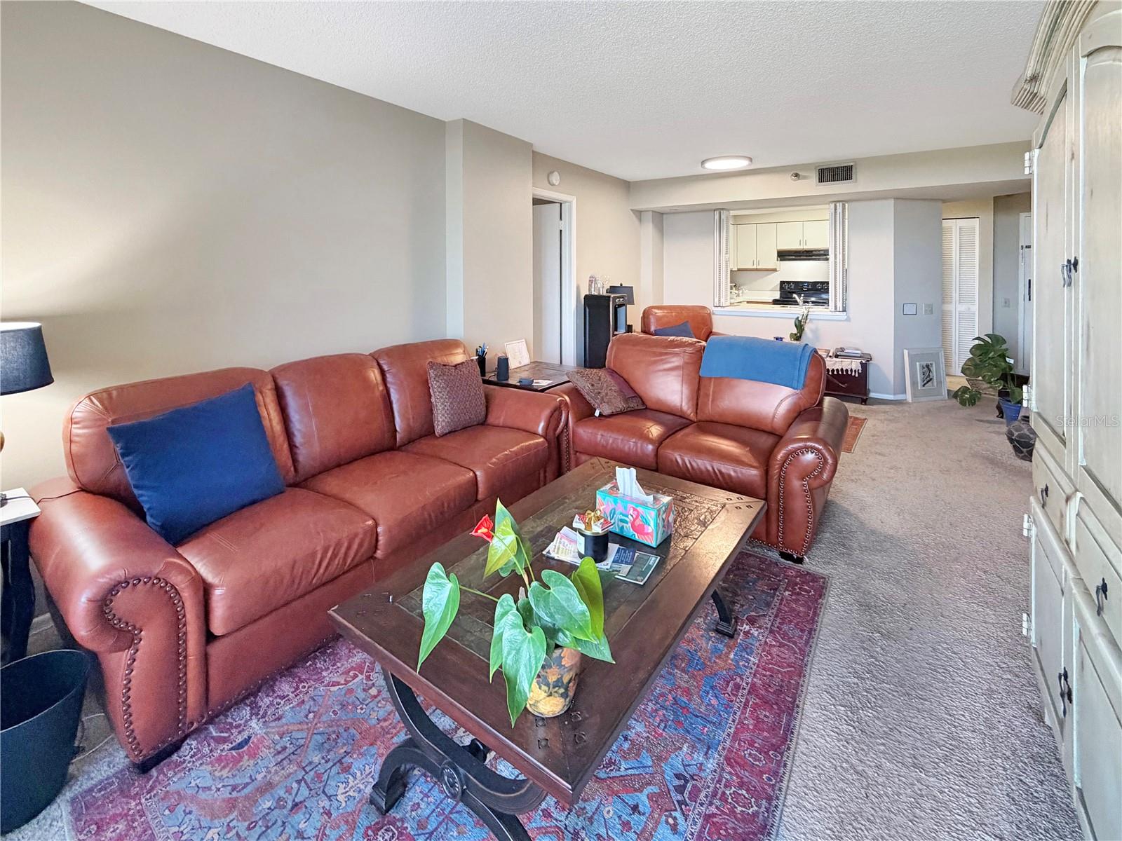 2333 FEATHER SOUND DR #C507, CLEARWATER, FL, 33762