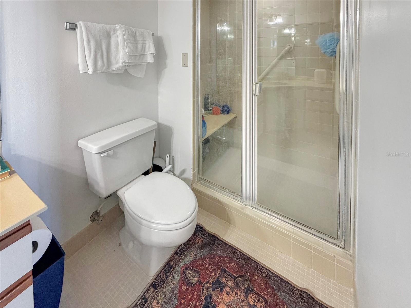 2333 FEATHER SOUND DR #C507, CLEARWATER, FL, 33762