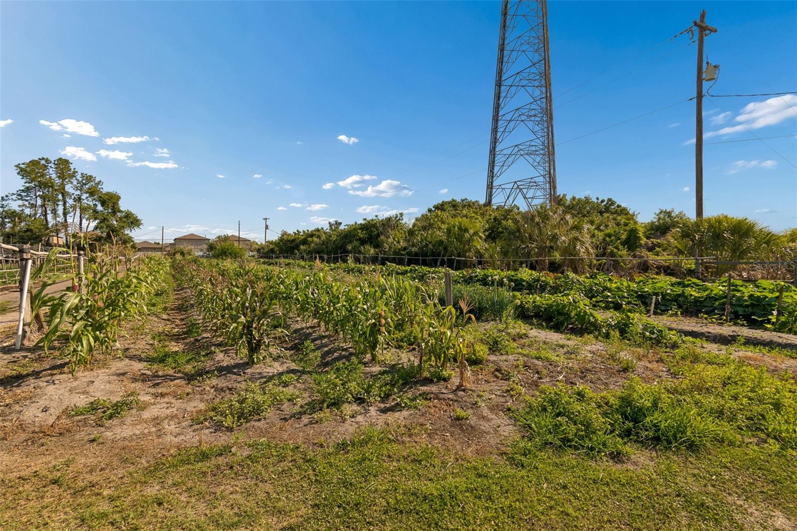 11101 SUMNER RD, WIMAUMA, FL, 33598