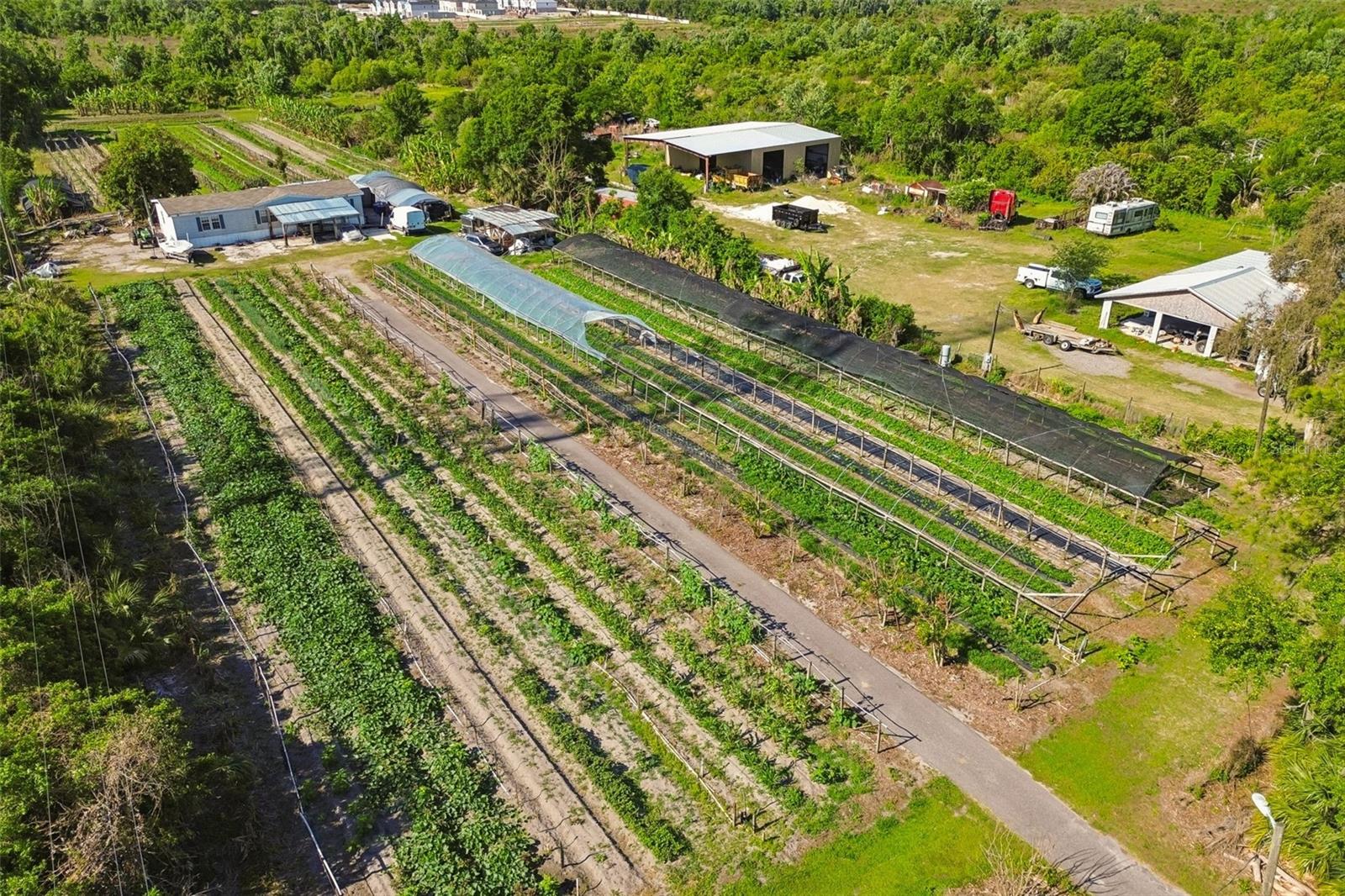 11101 SUMNER RD, WIMAUMA, FL, 33598