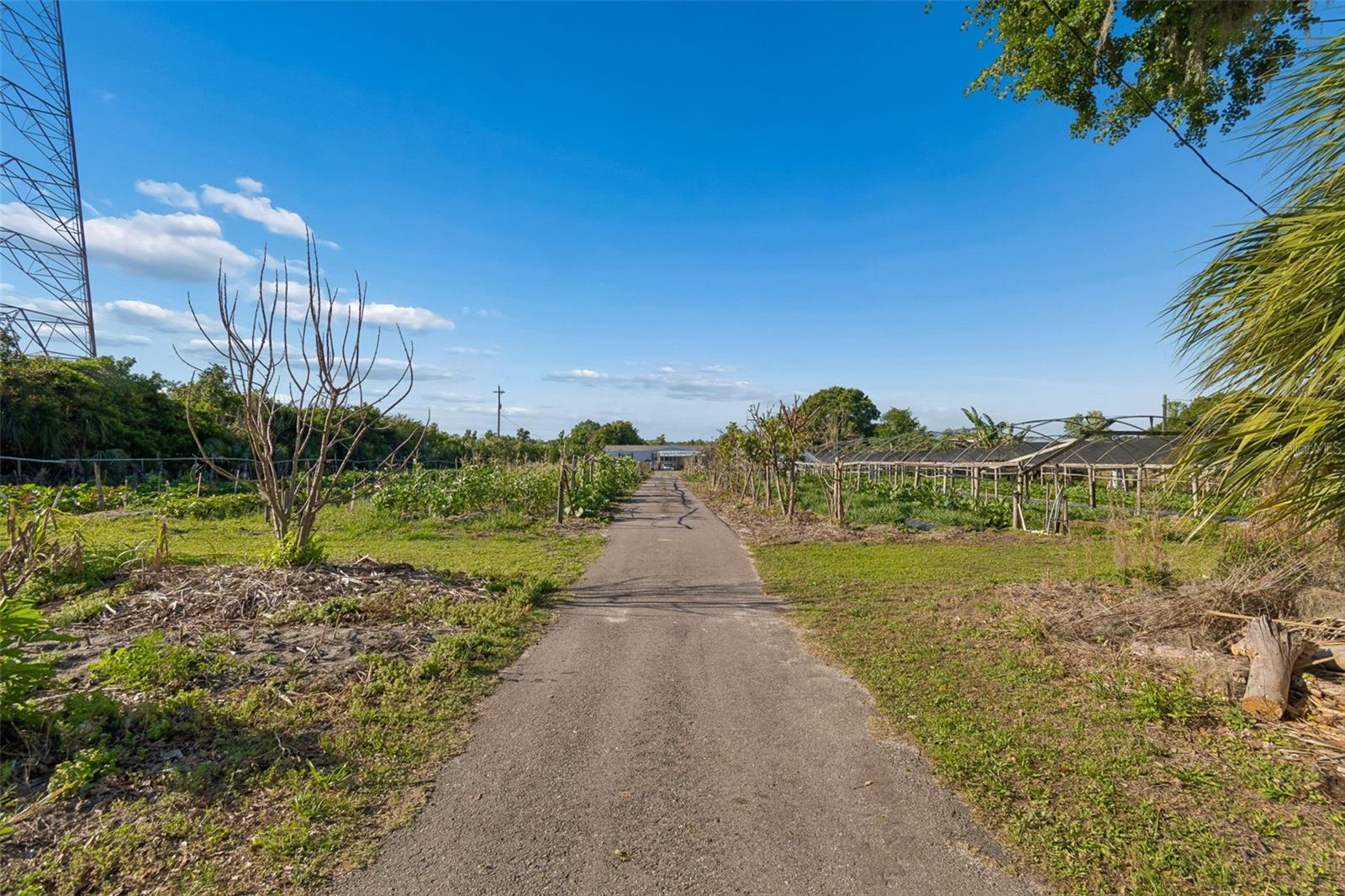 11101 SUMNER RD, WIMAUMA, FL, 33598