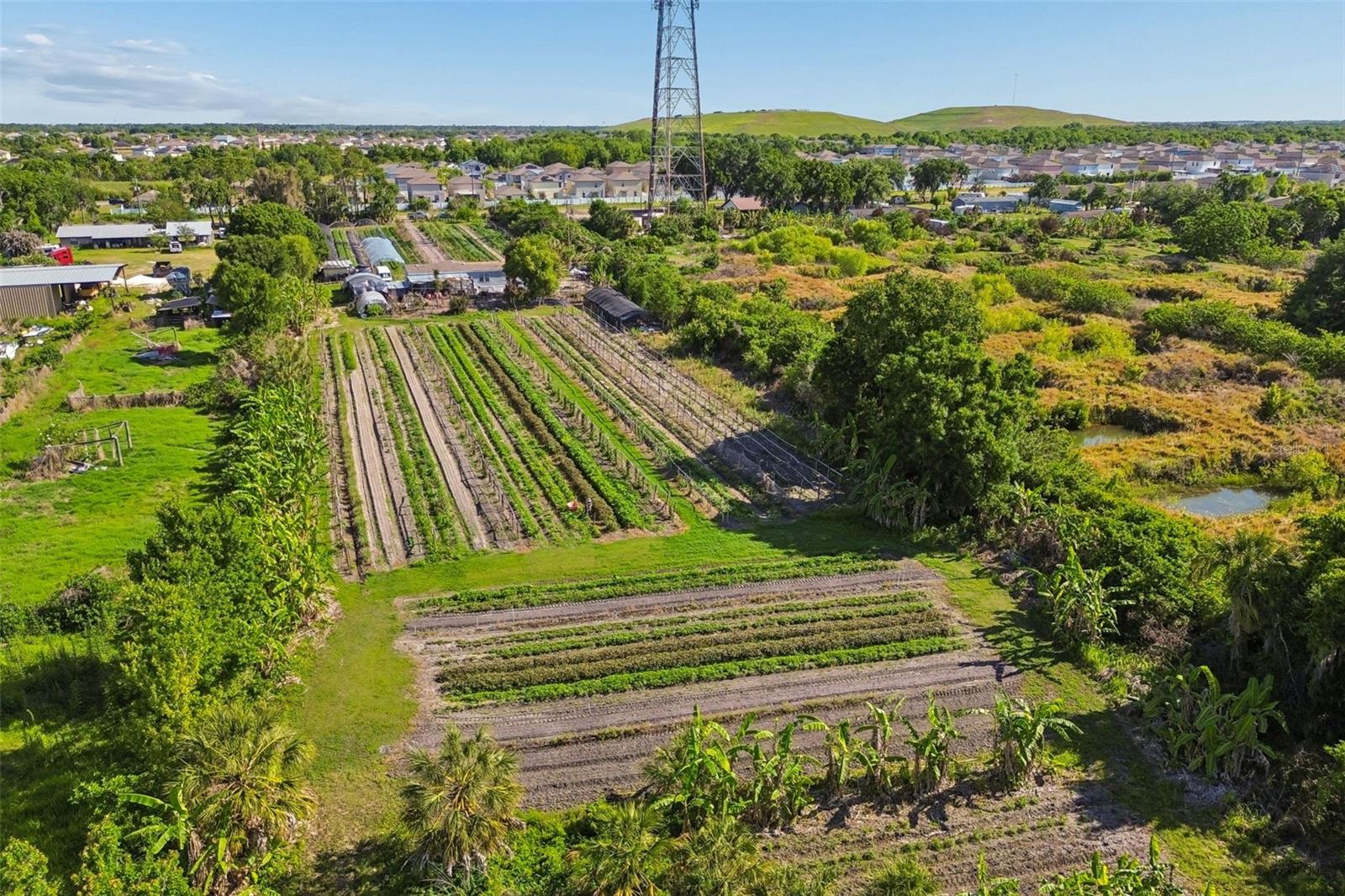 11101 SUMNER RD, WIMAUMA, FL, 33598