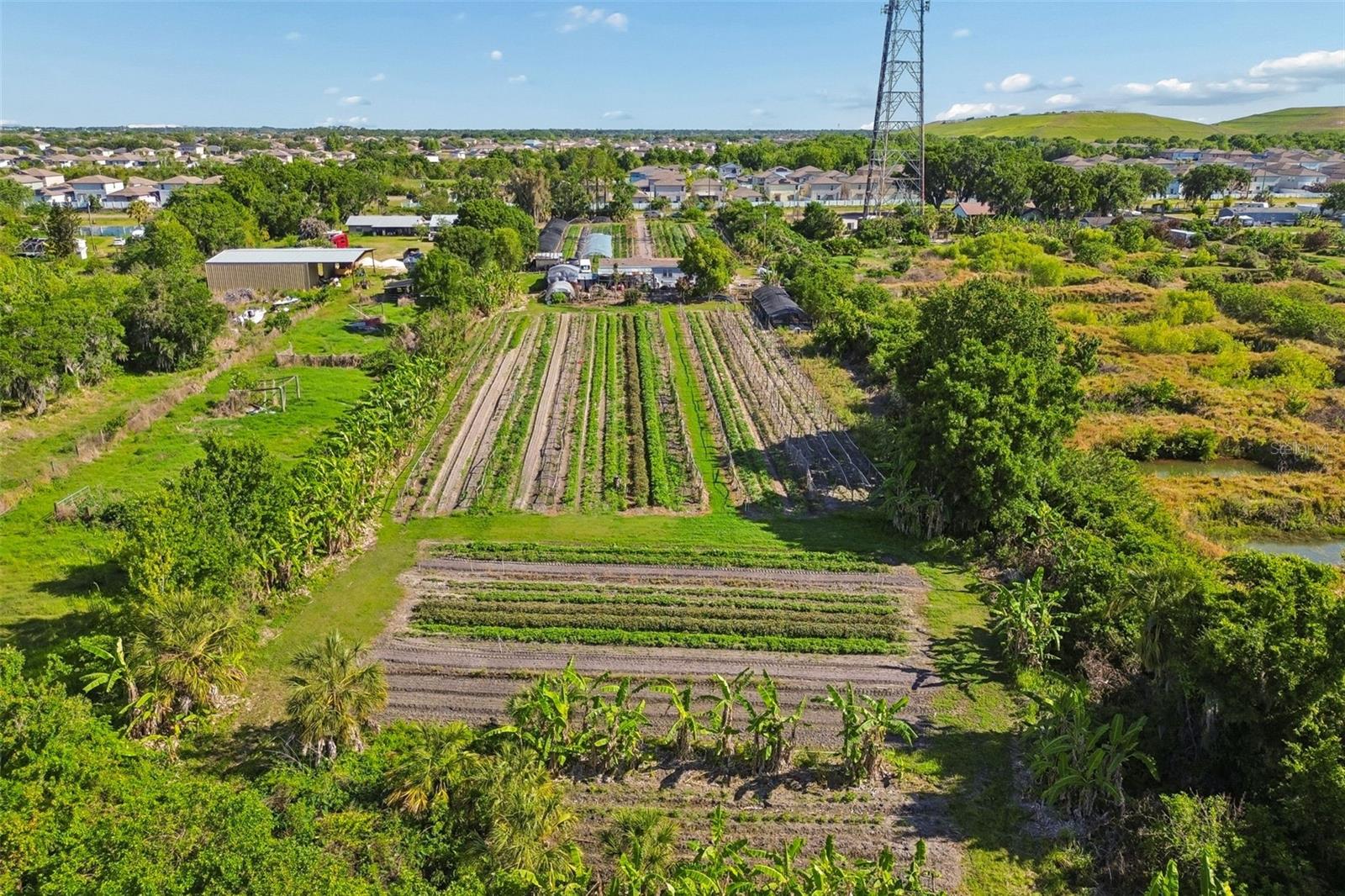 11101 SUMNER RD, WIMAUMA, FL, 33598