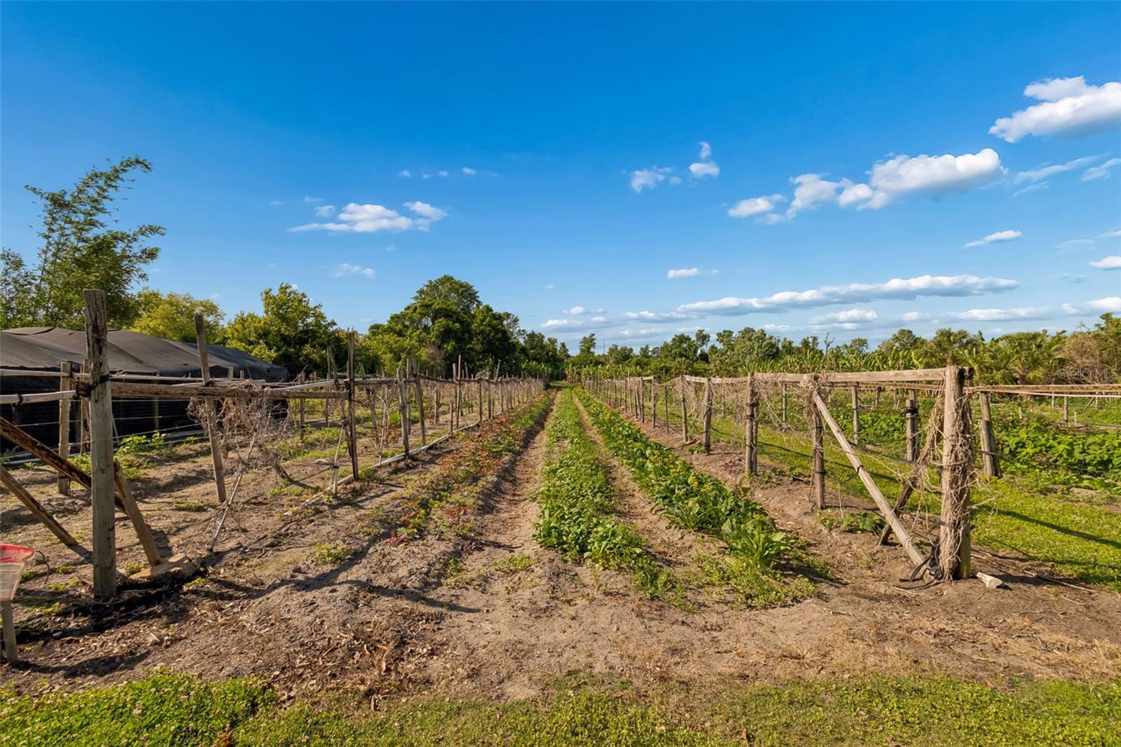 11101 SUMNER RD, WIMAUMA, FL, 33598