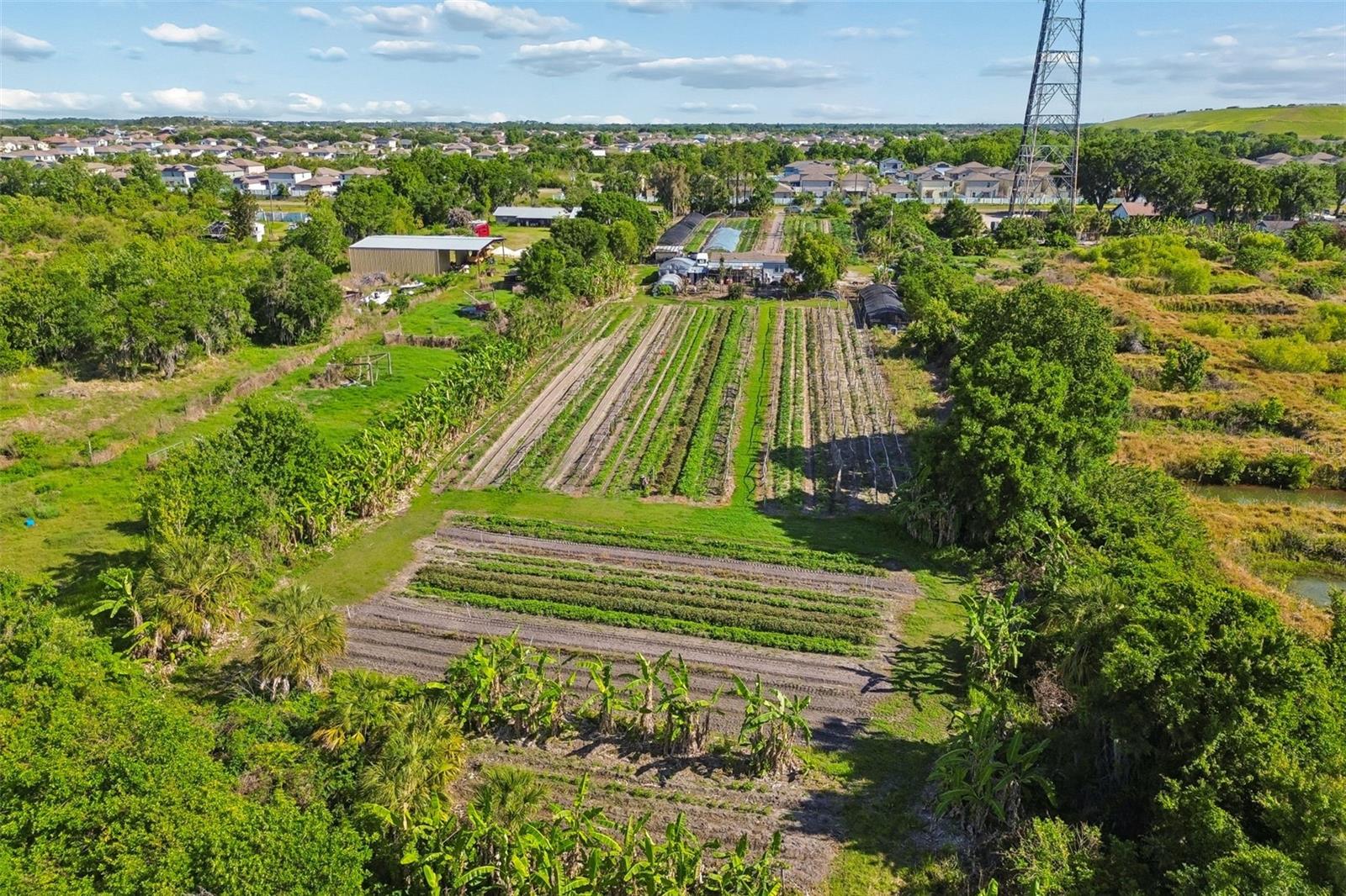 11101 SUMNER RD, WIMAUMA, FL, 33598