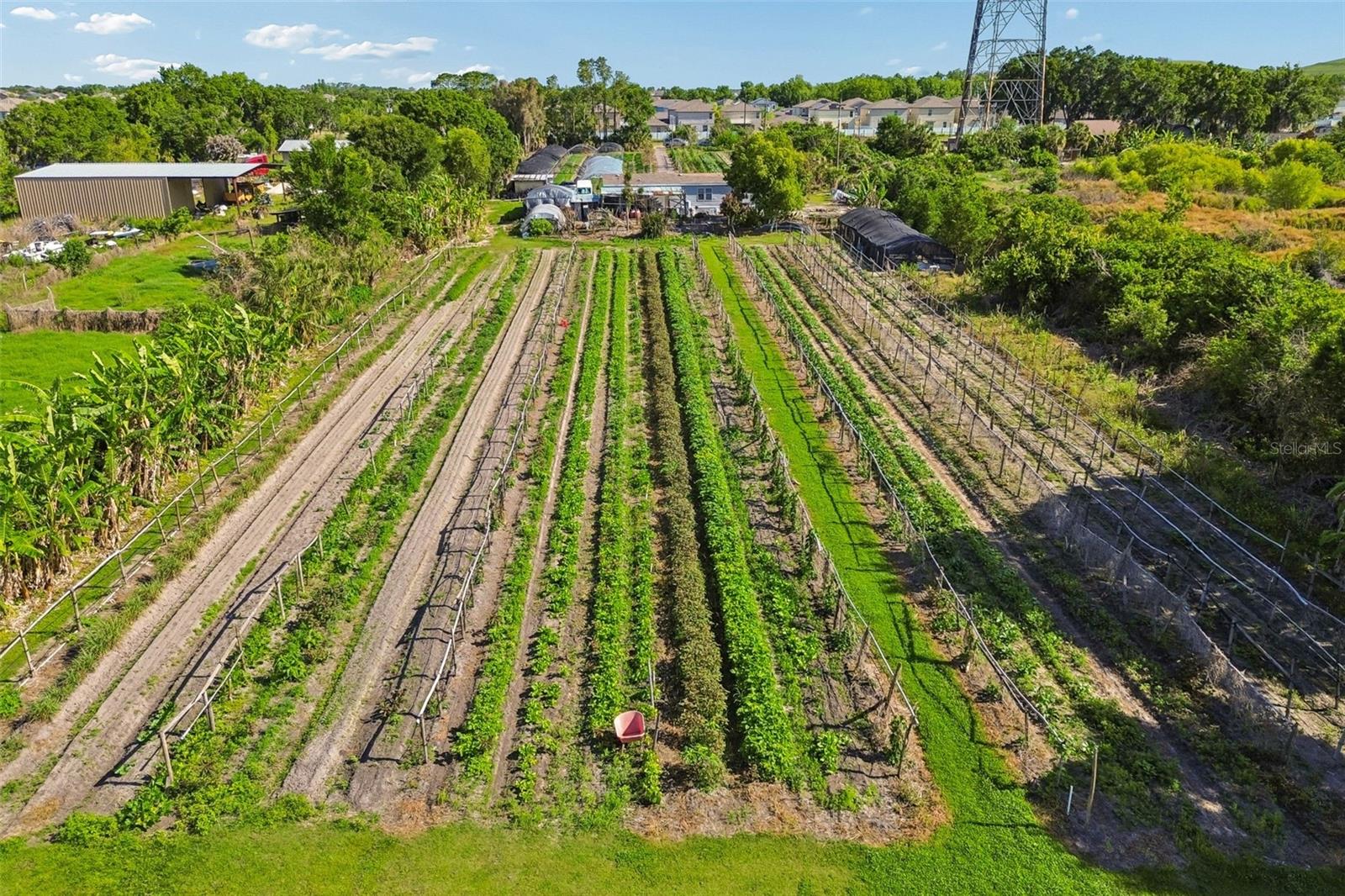 11101 SUMNER RD, WIMAUMA, FL, 33598