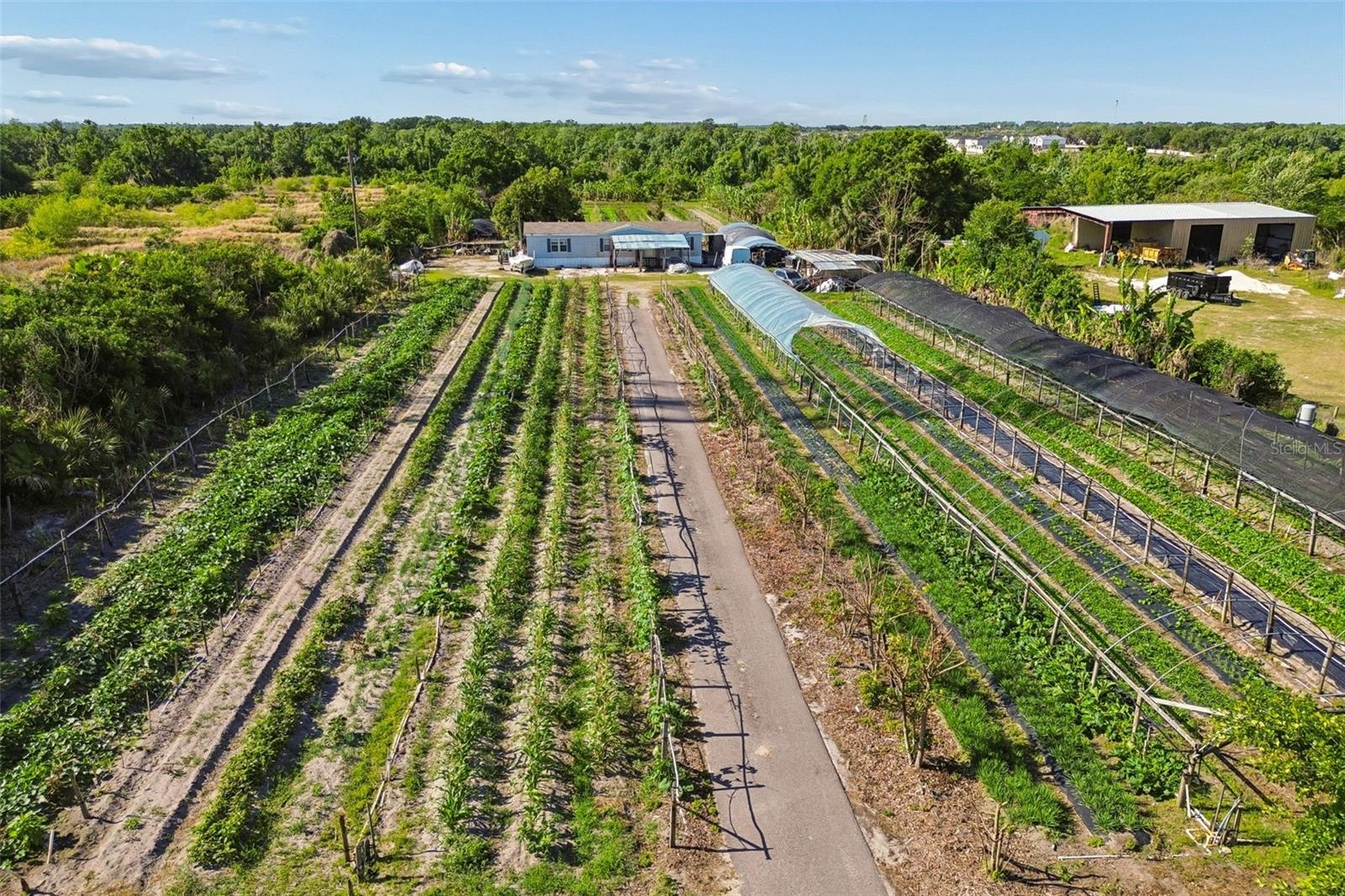 11101 SUMNER RD, WIMAUMA, FL, 33598