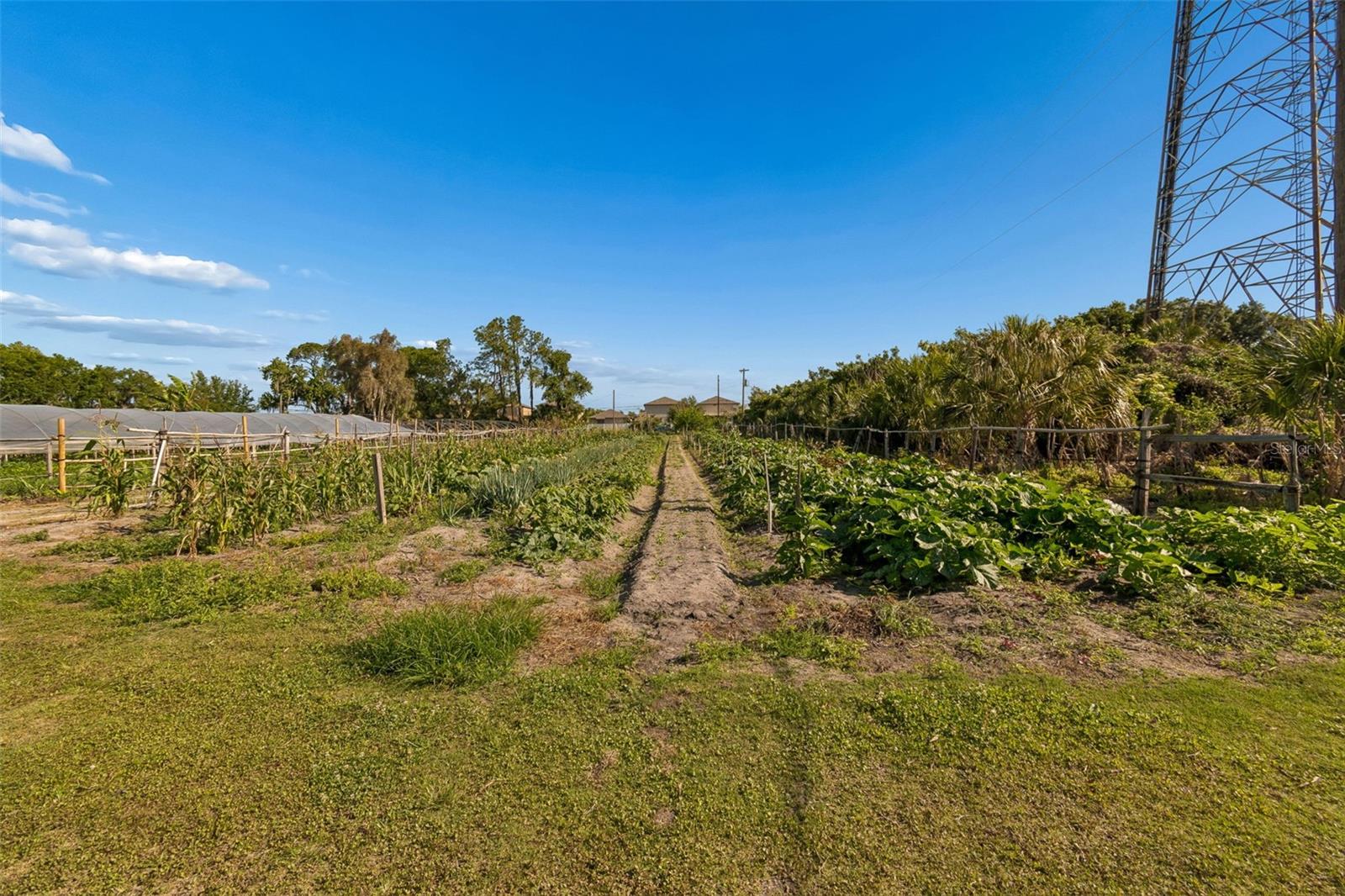 11101 SUMNER RD, WIMAUMA, FL, 33598