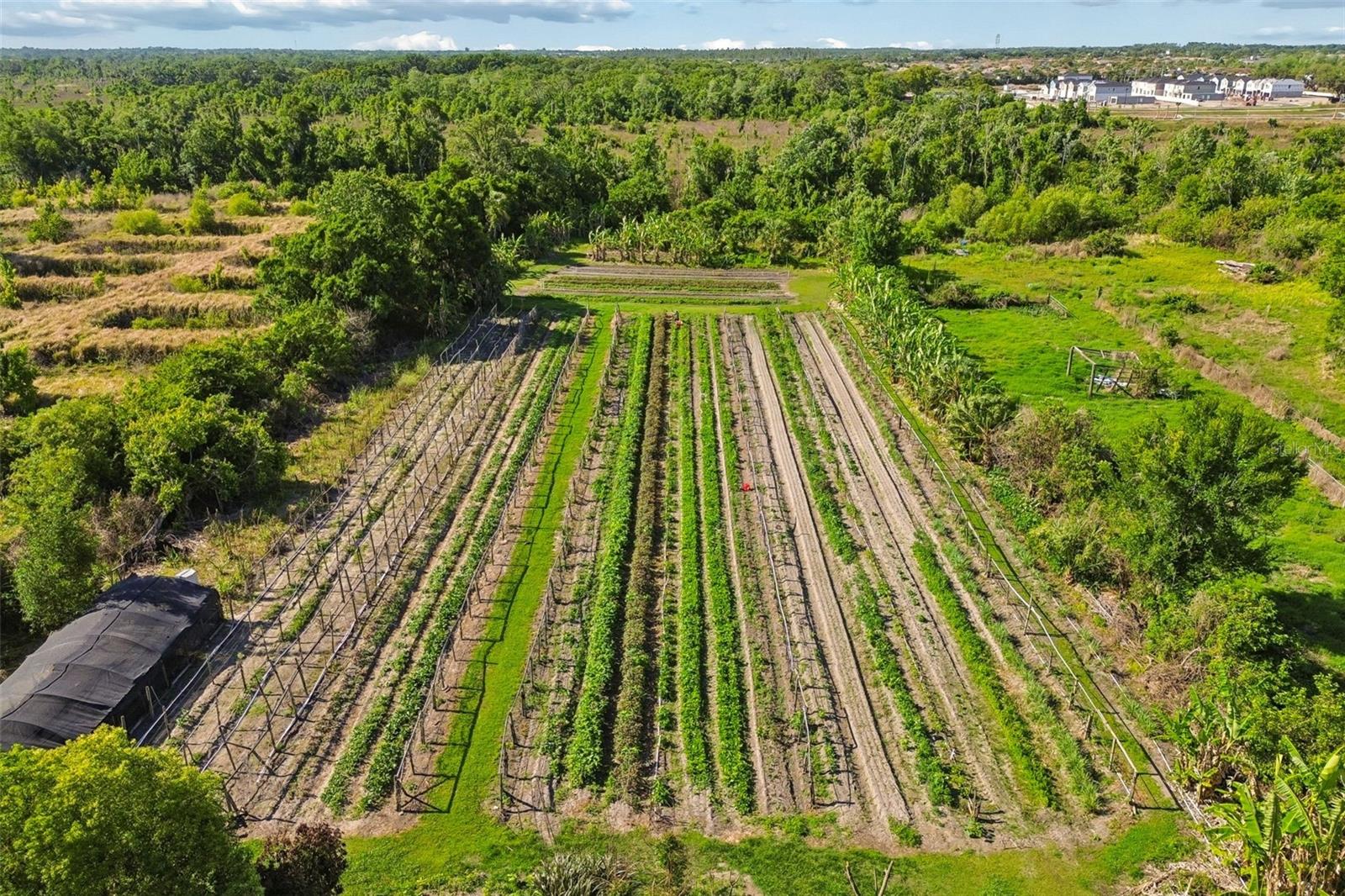 11101 SUMNER RD, WIMAUMA, FL, 33598