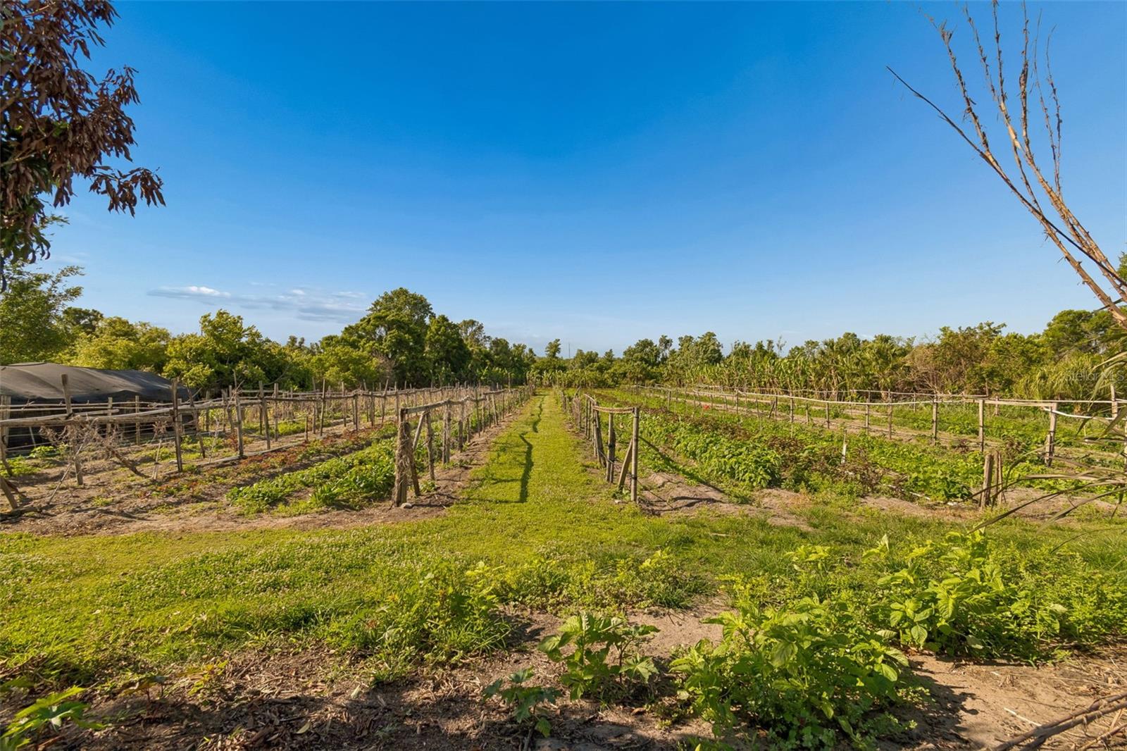 11101 SUMNER RD, WIMAUMA, FL, 33598