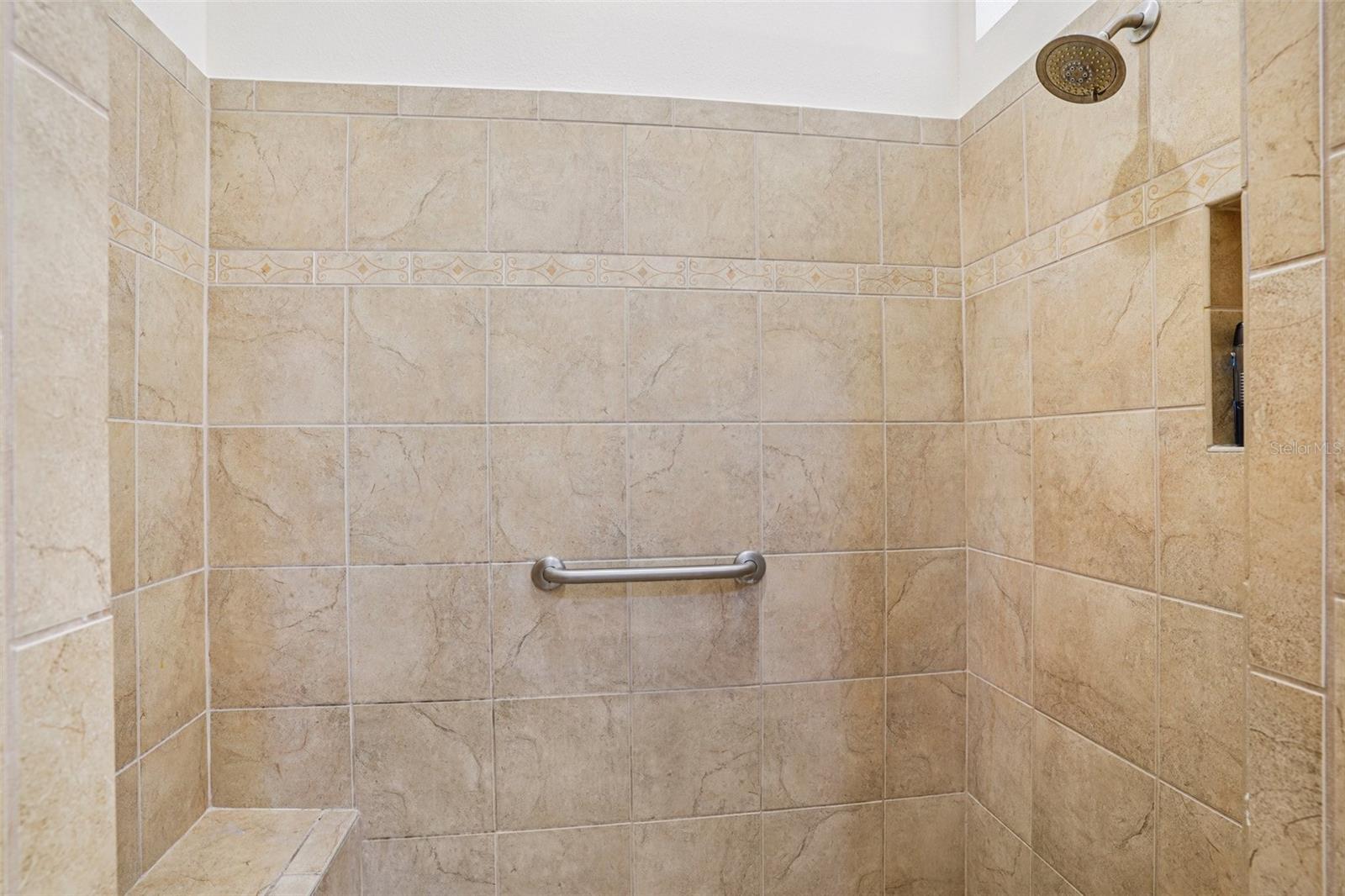 10063 LAKE MIONA WAY, OXFORD, FL, 34484