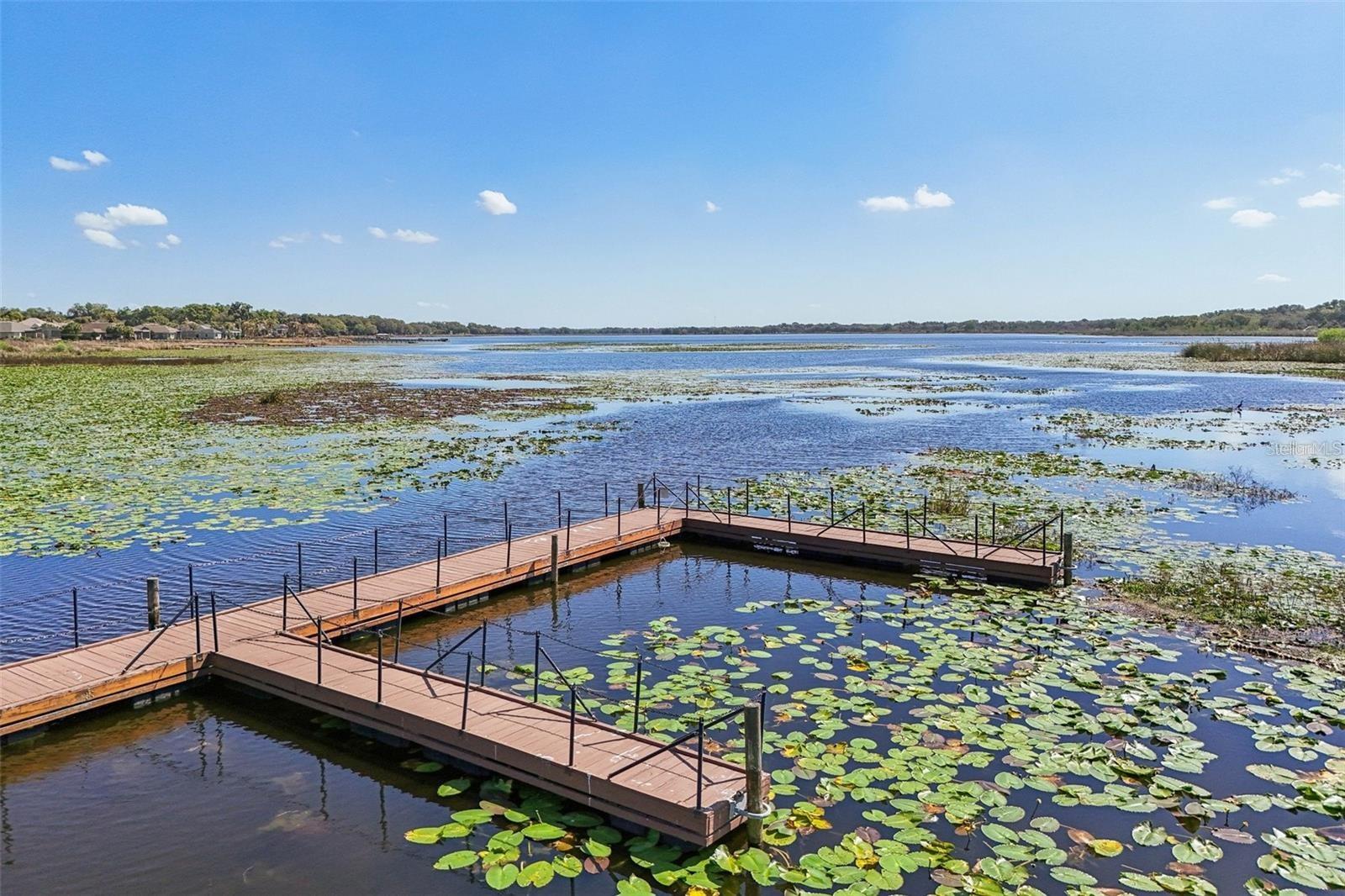 10063 LAKE MIONA WAY, OXFORD, FL, 34484