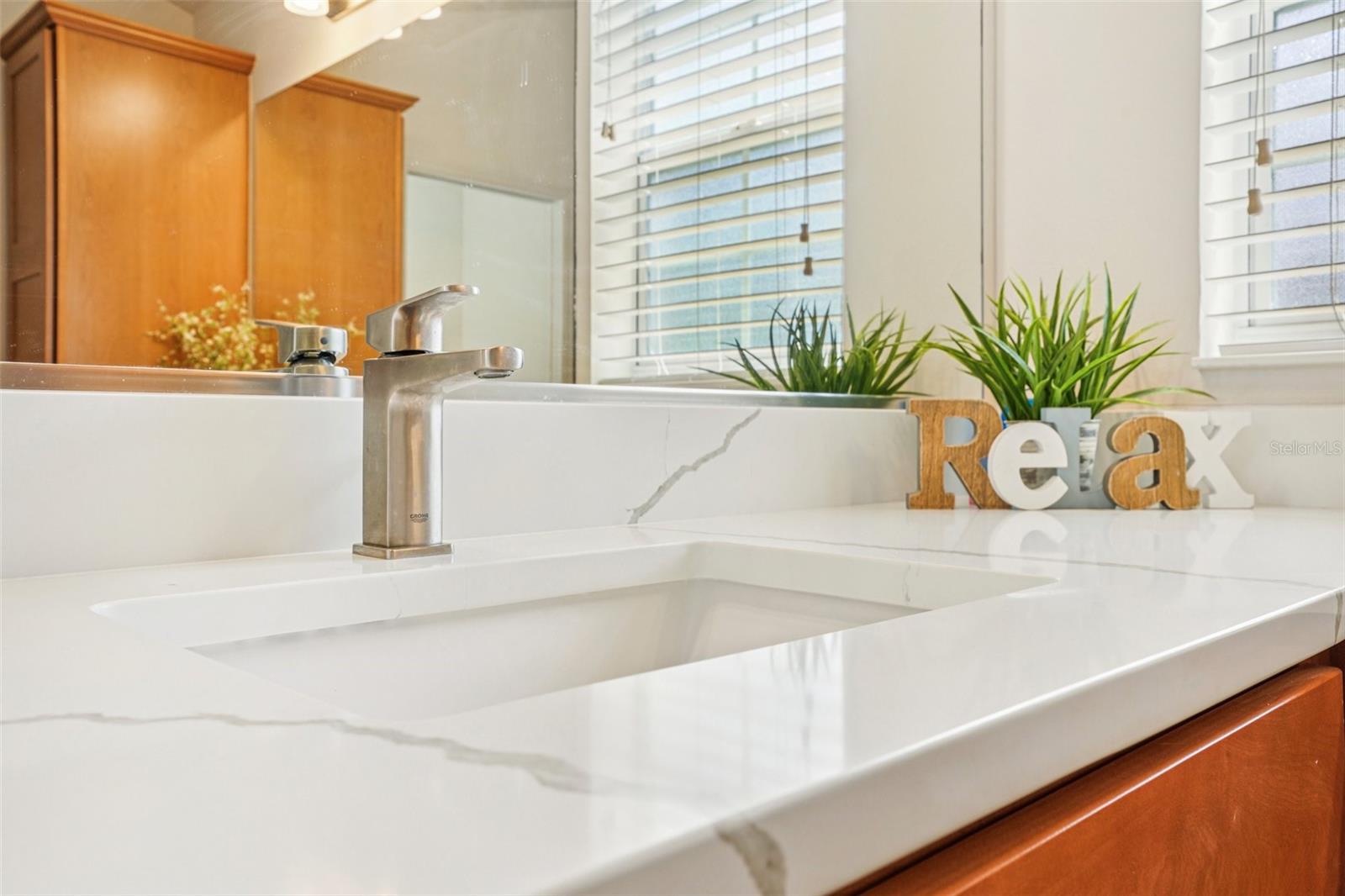 10063 LAKE MIONA WAY, OXFORD, FL, 34484