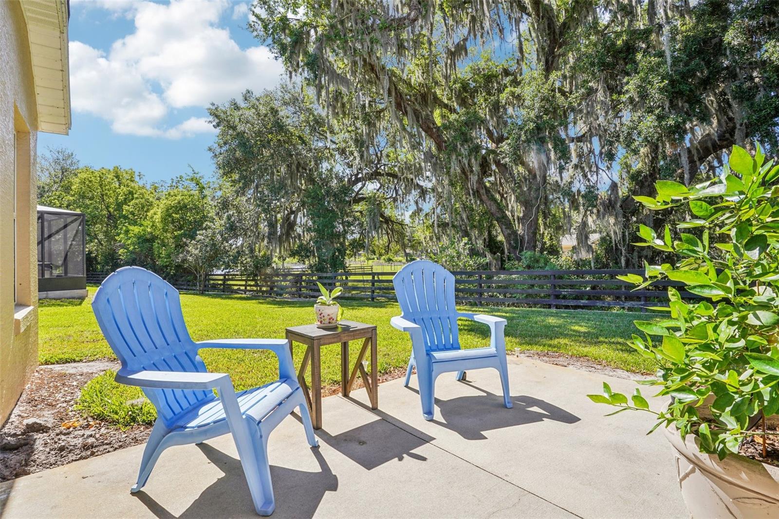 10063 LAKE MIONA WAY, OXFORD, FL, 34484