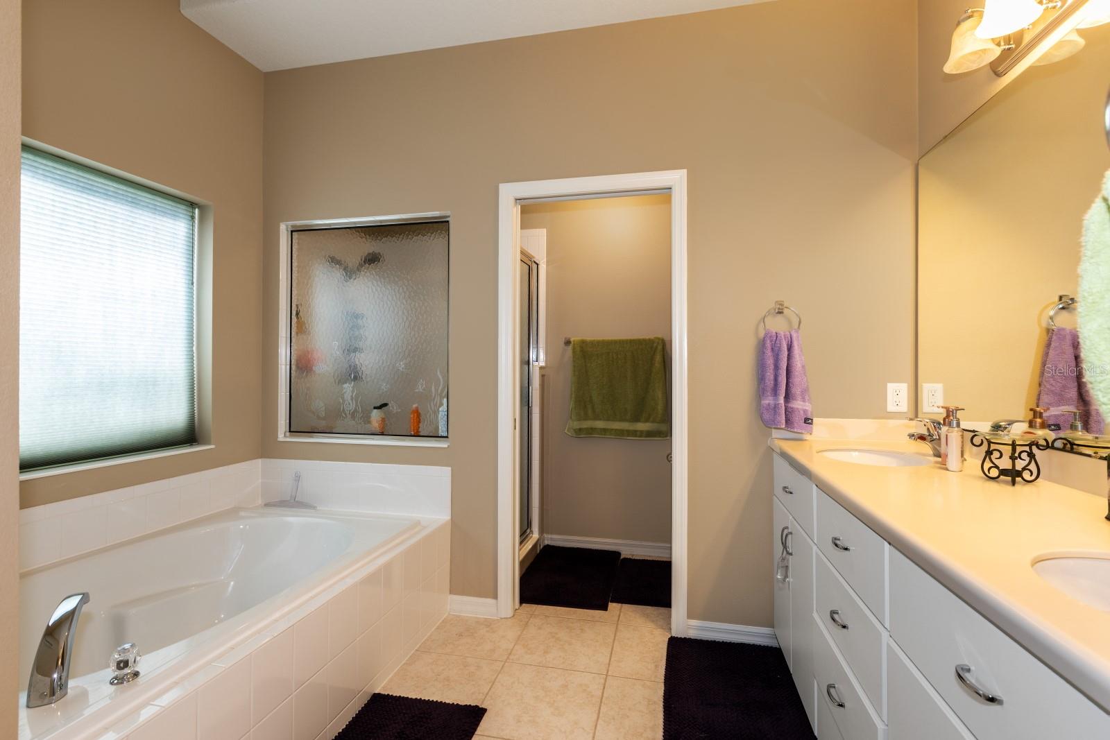 5659 CELEBRATION WAY, LEESBURG, FL, 34748