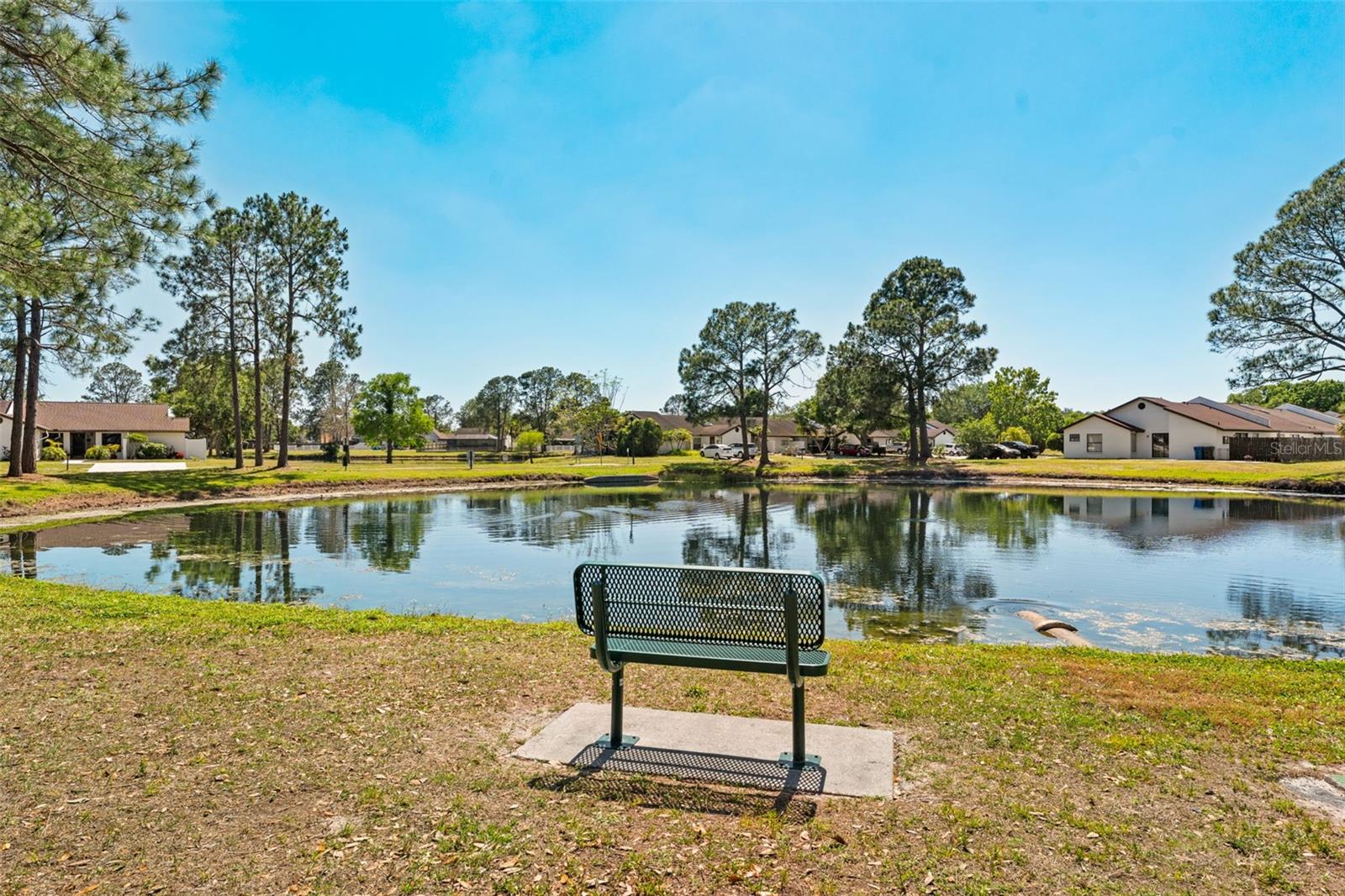 5214 HOPEDALE DR, TAMPA, FL, 33624