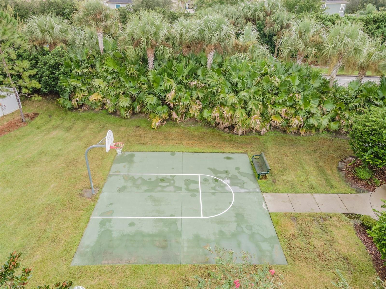 3850 CLAYBROOK DR, WESLEY CHAPEL, FL, 33544