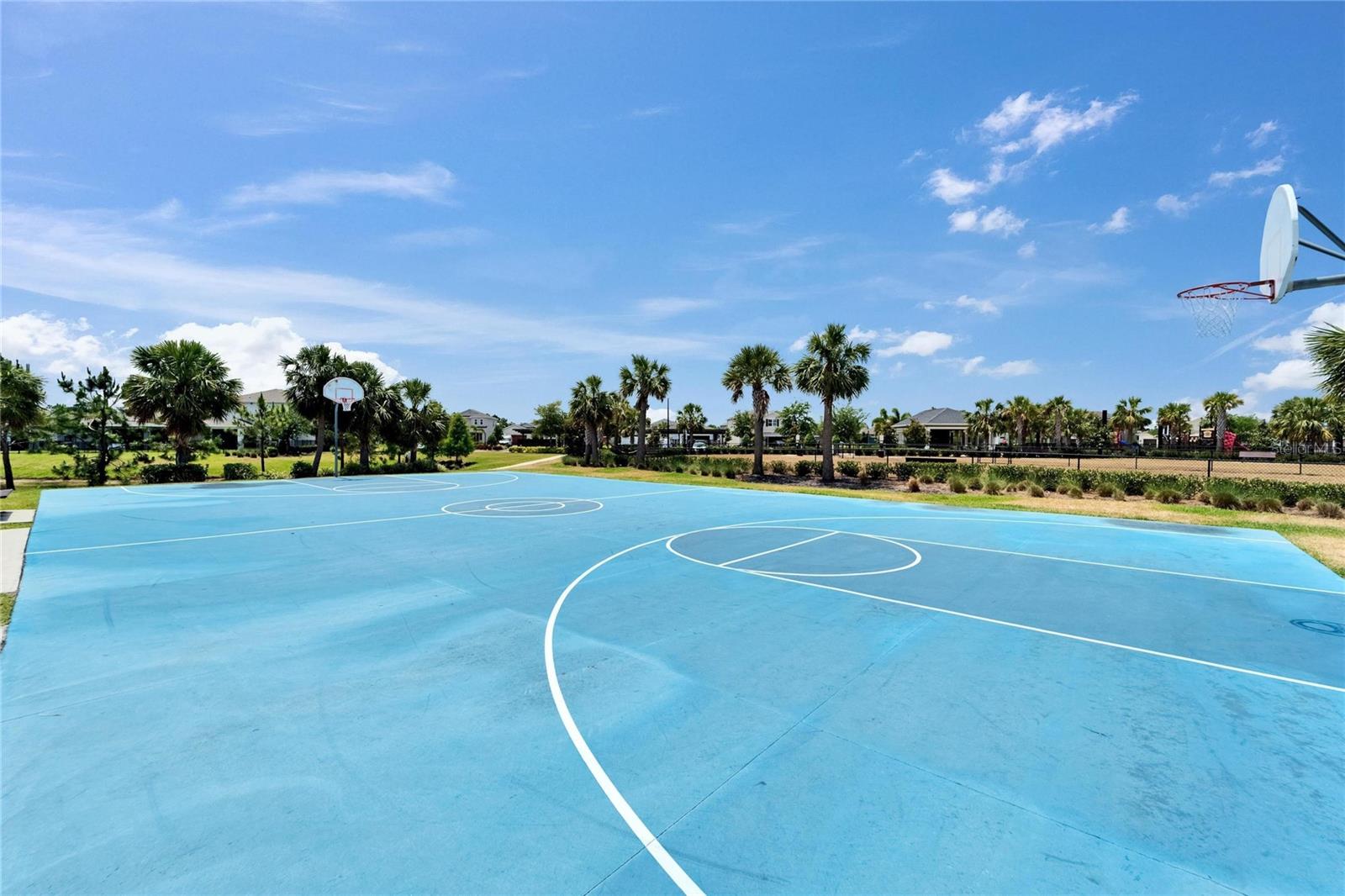 6239 SPRINGMONT LOOP, PALMETTO, FL, 34221