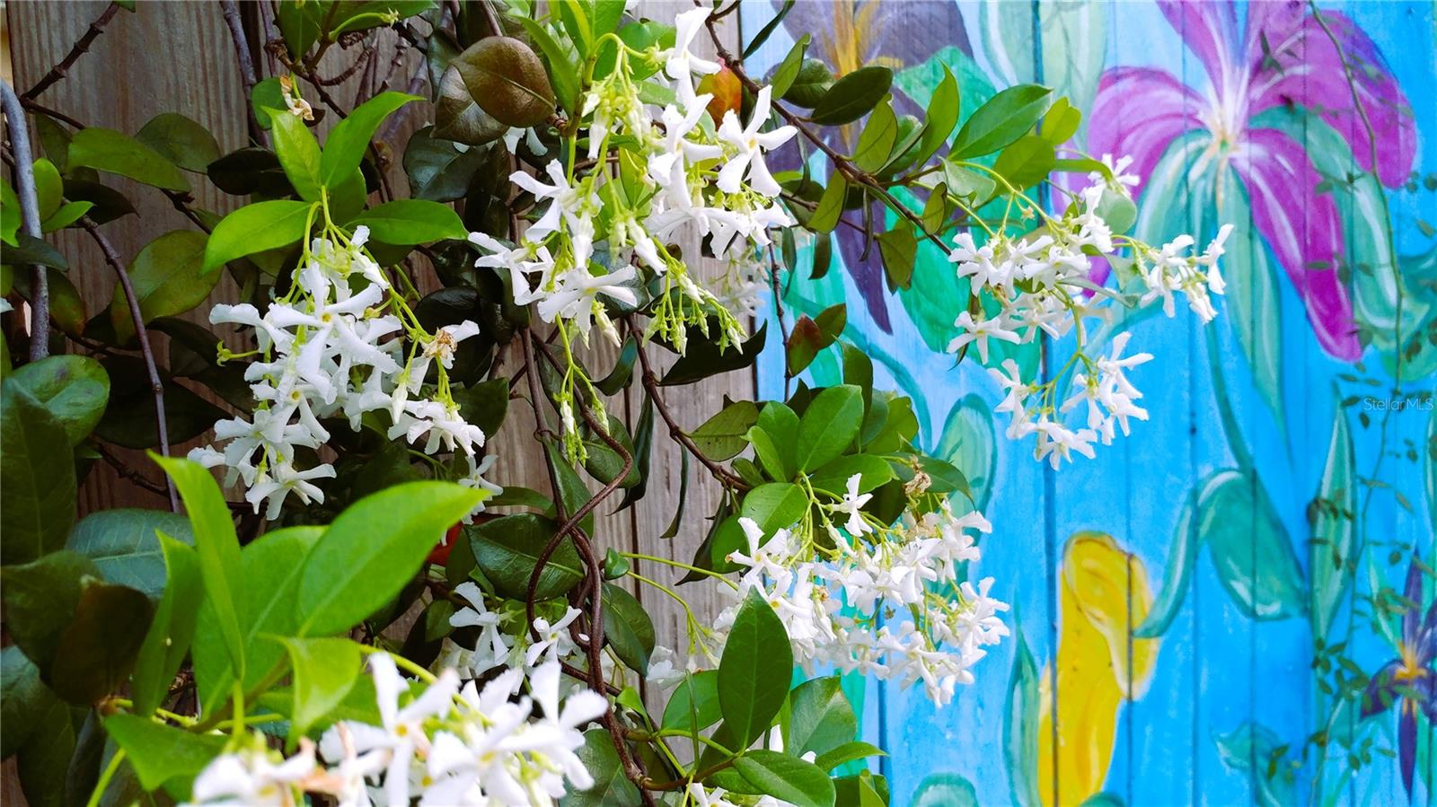 5935 30TH AVE S #312, GULFPORT, FL, 33707