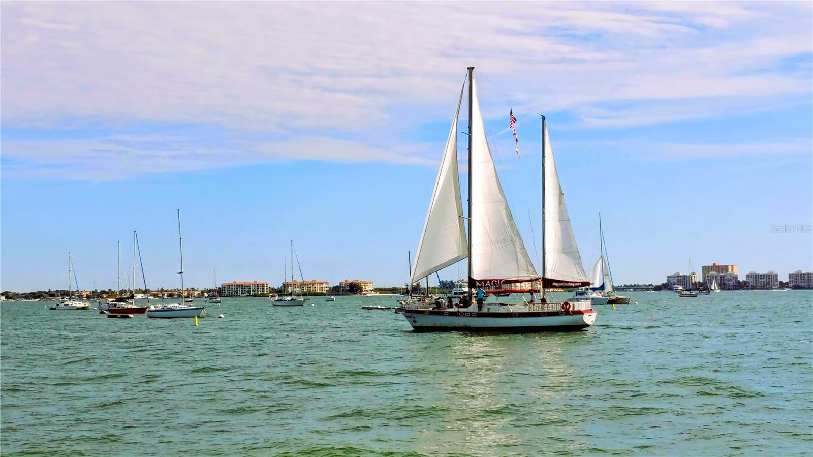 5935 30TH AVE S #312, GULFPORT, FL, 33707