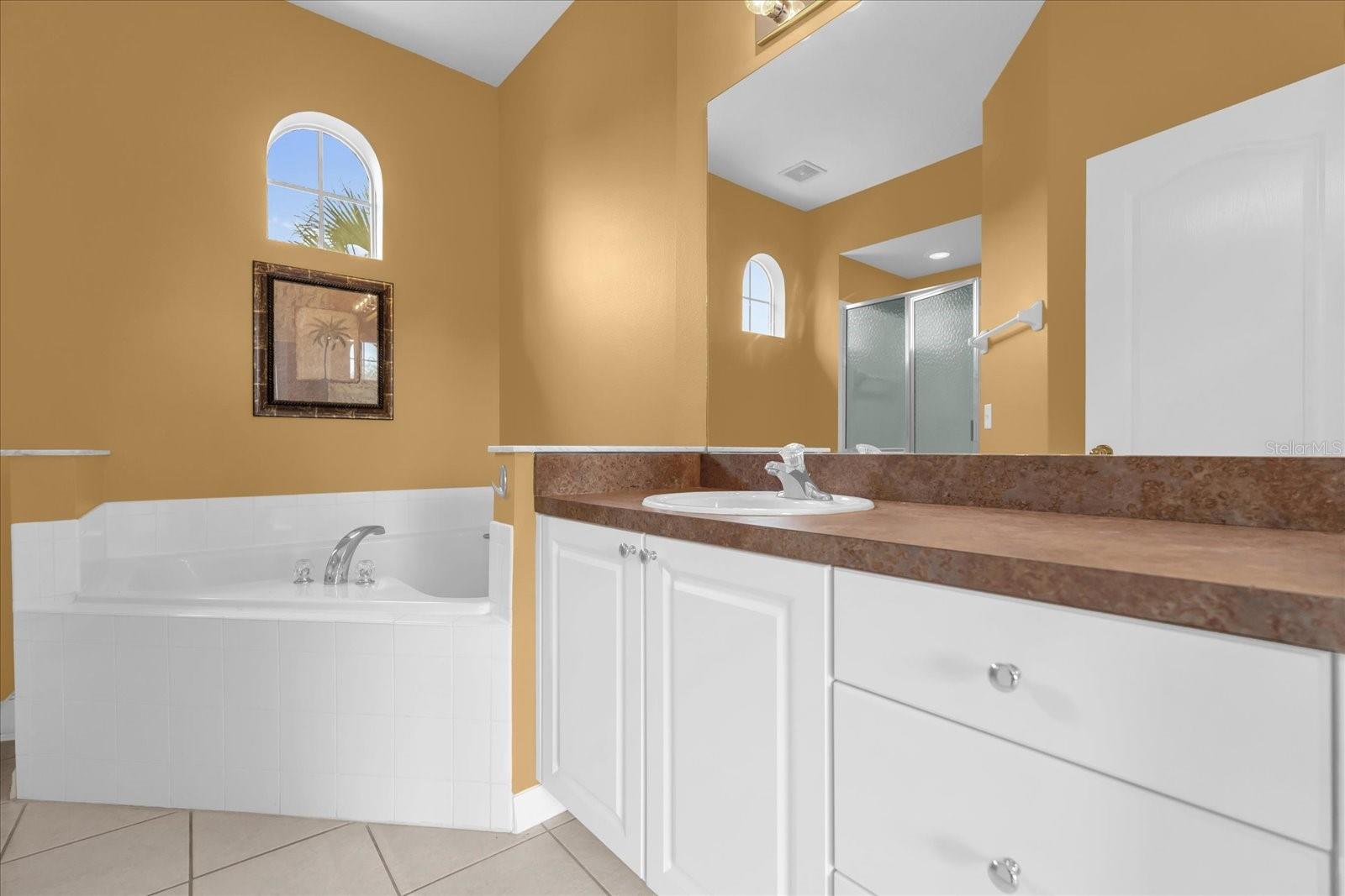 516 BRUNELLO DR, DAVENPORT, FL, 33897