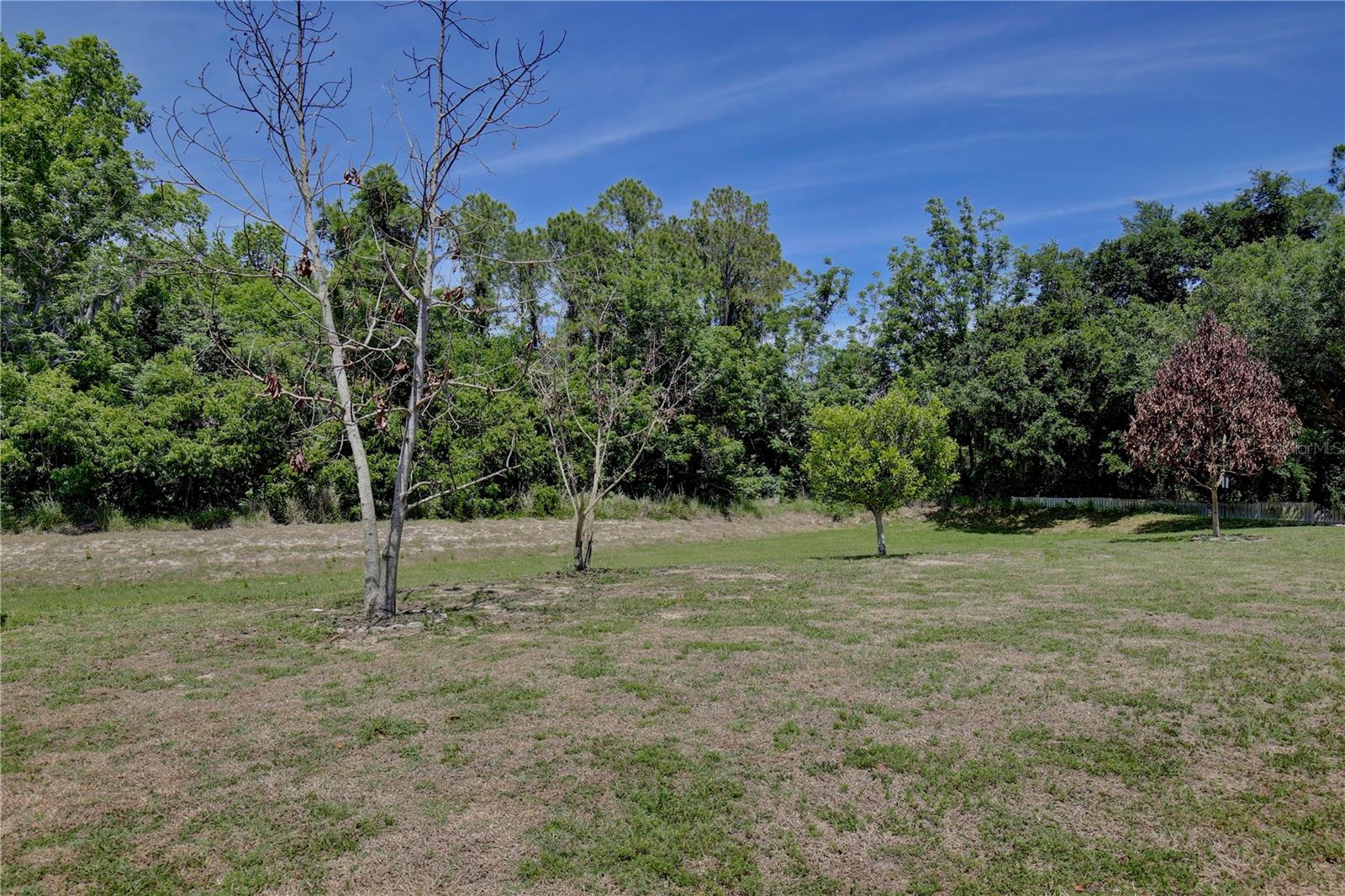 2763 ATHENS DR, LEESBURG, FL, 34748