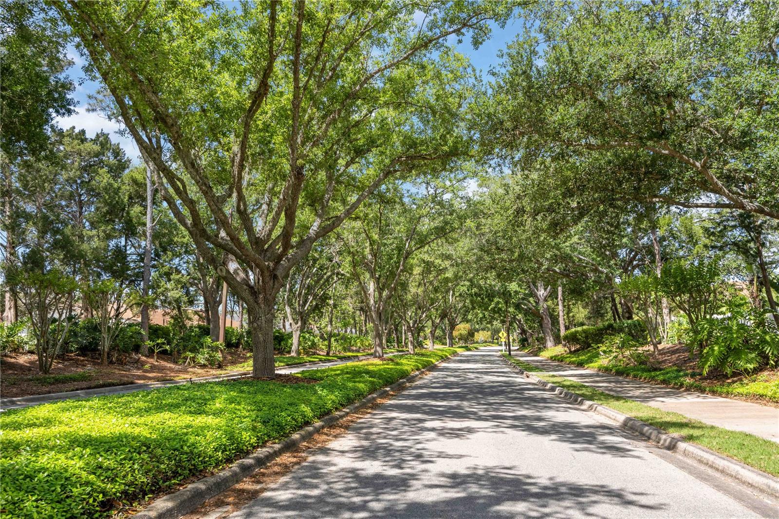 6446 BARBERRY CT, LAKEWOOD RANCH, FL, 34202