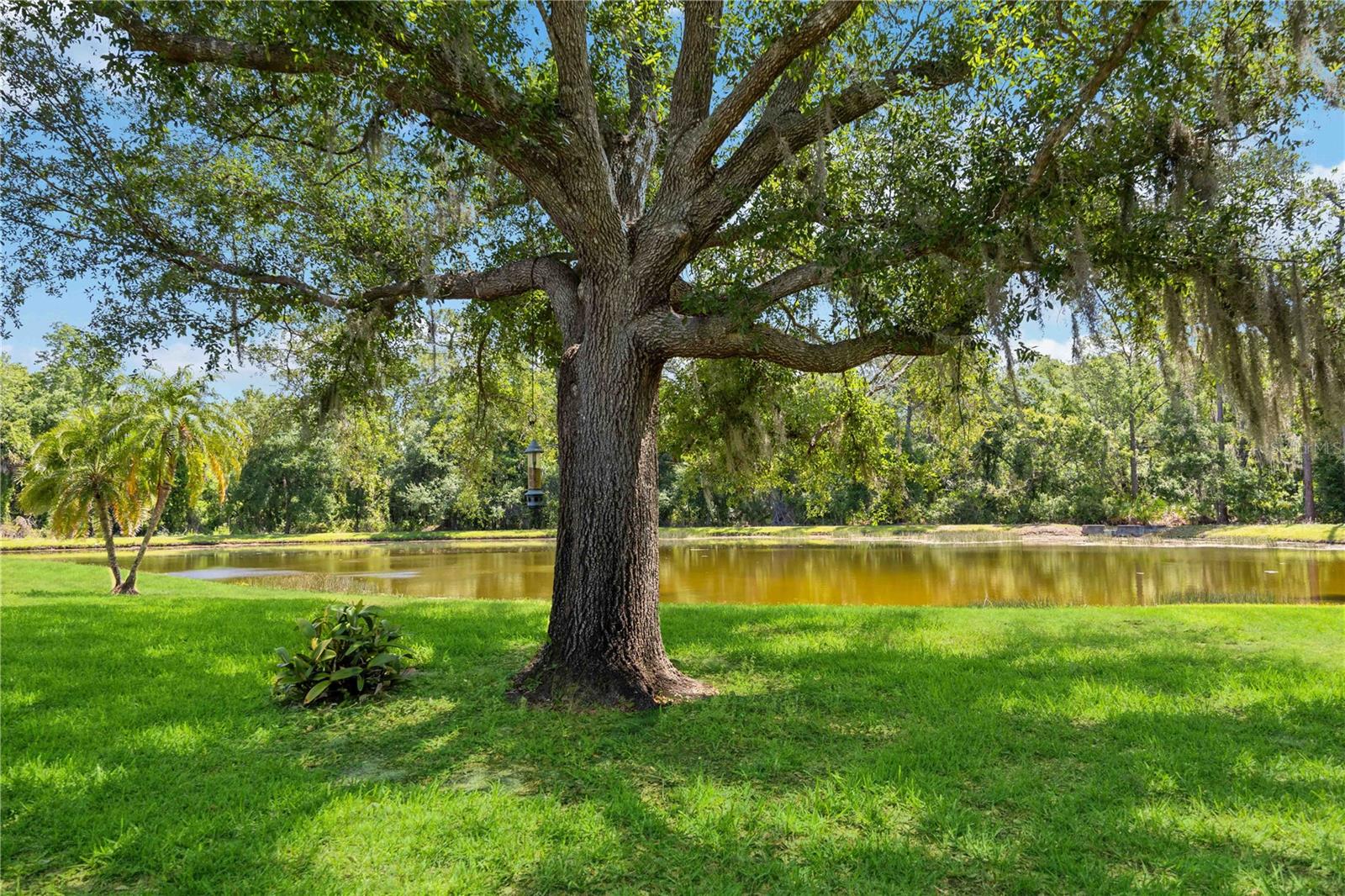 6446 BARBERRY CT, LAKEWOOD RANCH, FL, 34202