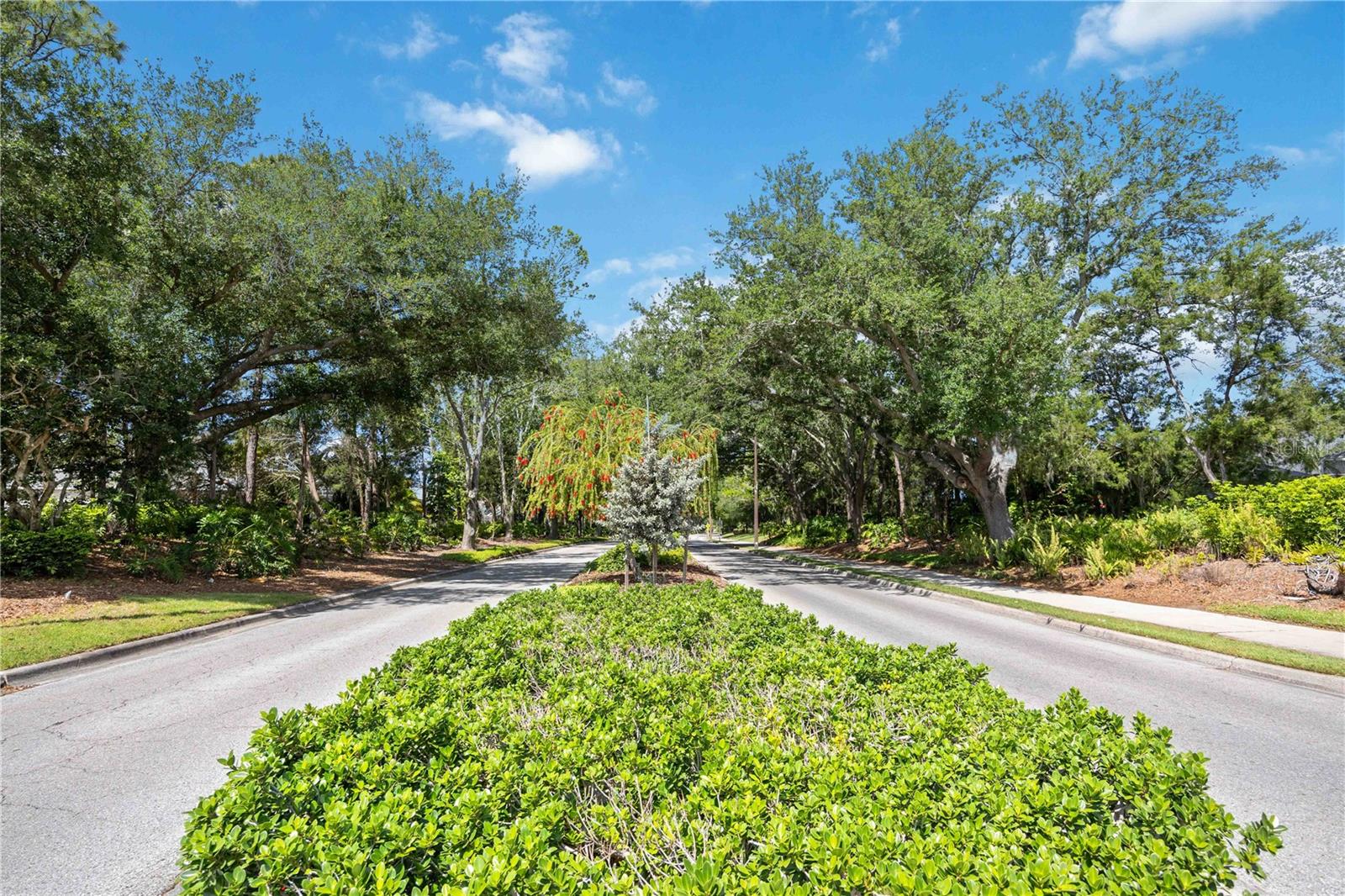 6446 BARBERRY CT, LAKEWOOD RANCH, FL, 34202