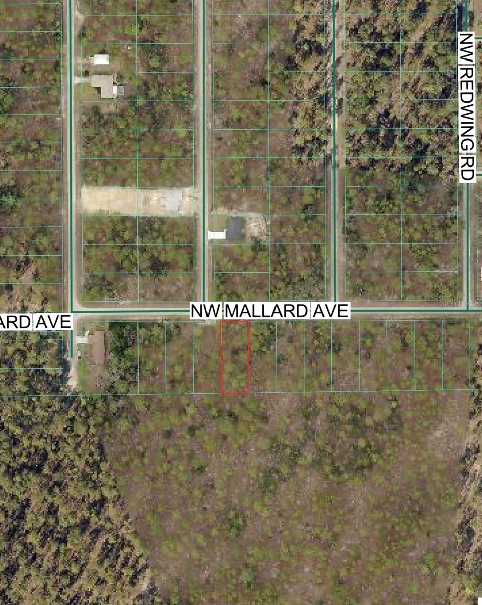NW MALLARD AVE, DUNNELLON, FL, 34431