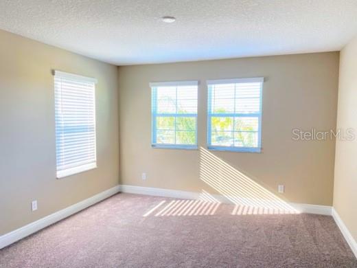 16142 MONTEREY GREENS CIR, TAMPA, FL, 33647