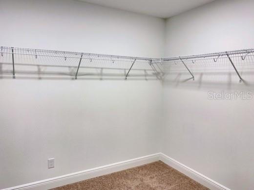 16142 MONTEREY GREENS CIR, TAMPA, FL, 33647