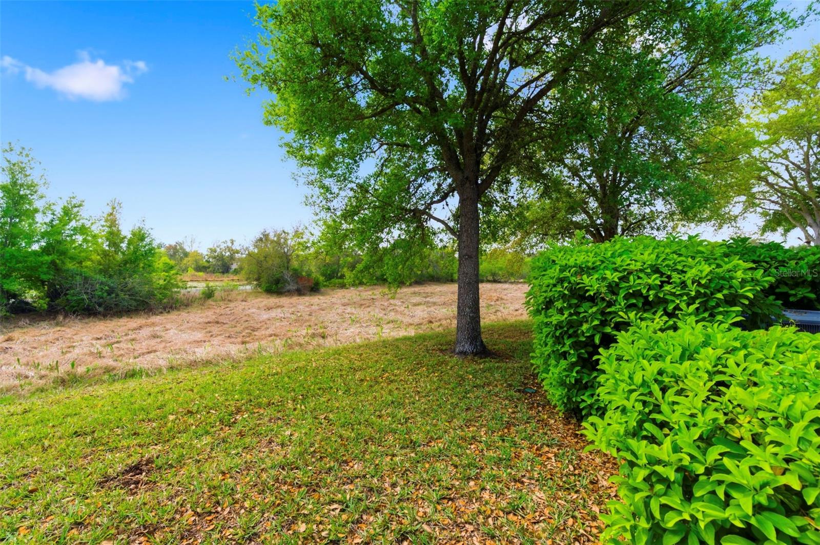 11214 PORT DOUGLAS DR, NEW PORT RICHEY, FL, 34654