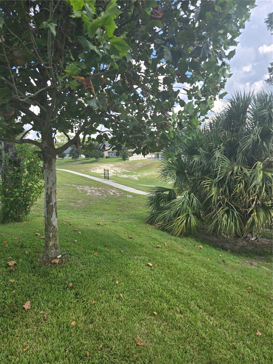 2355 REGENCY PARK DR, DELAND, FL, 32724