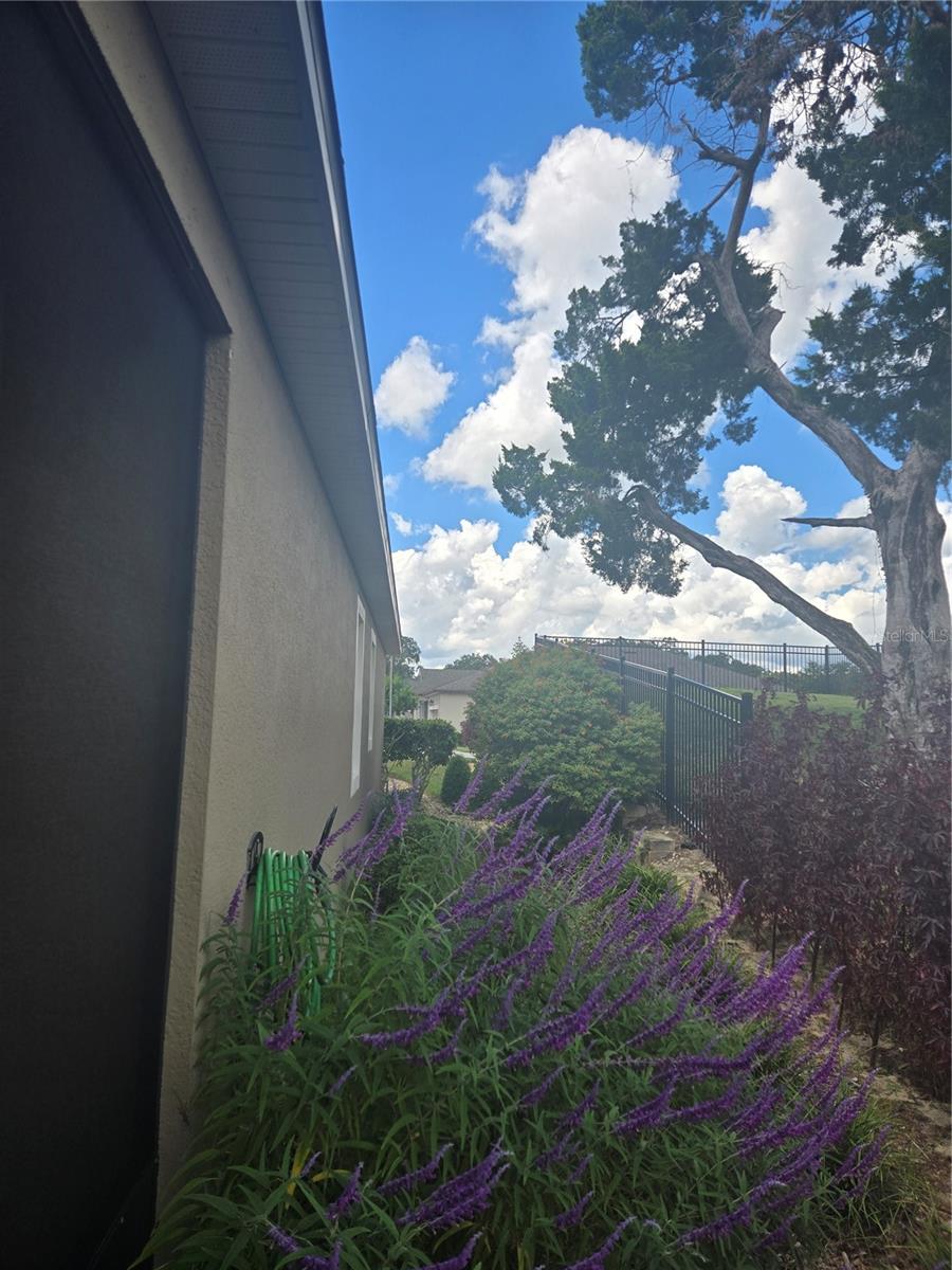 2355 REGENCY PARK DR, DELAND, FL, 32724