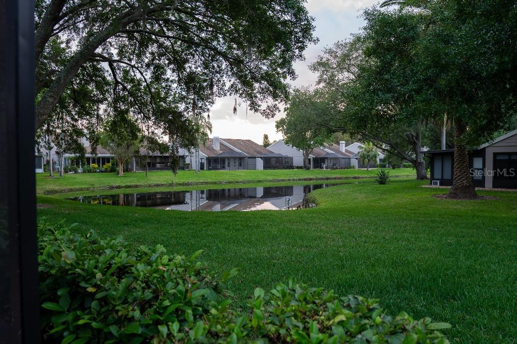 4050 SALEM SQUARE CT, PALM HARBOR, FL, 34685