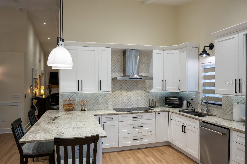 4050 SALEM SQUARE CT, PALM HARBOR, FL, 34685