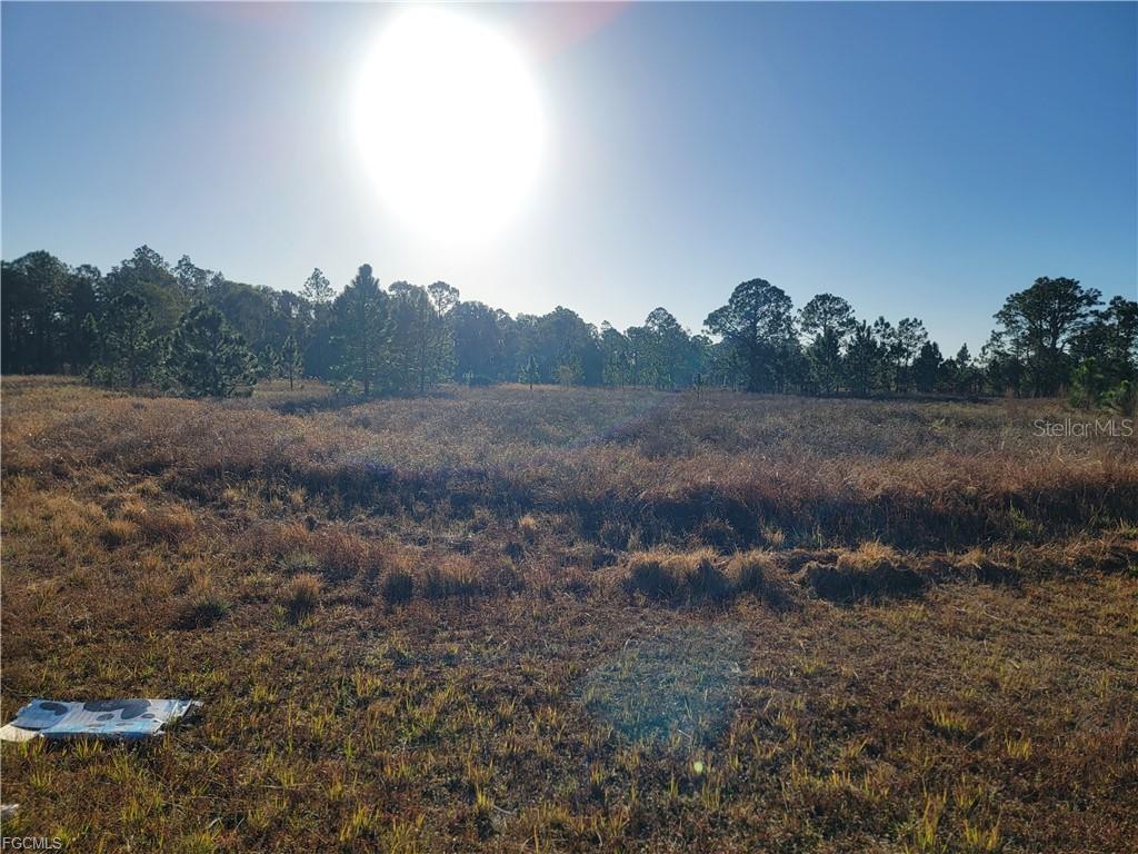 707 FRONTENAC AVE S, LEHIGH ACRES, FL, 33974