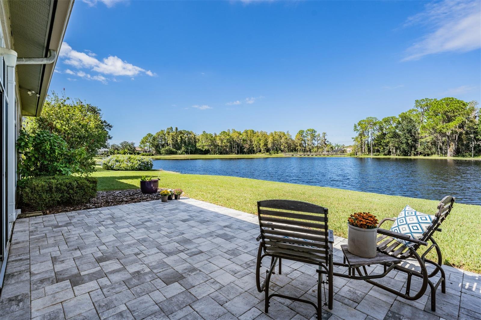 1455 WINDING WILLOW DR, TRINITY, FL, 34655