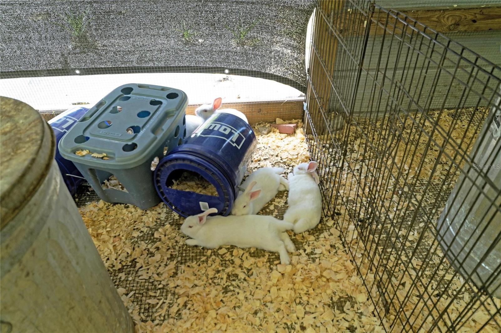 12010 69TH ST E, PARRISH, FL, 34219